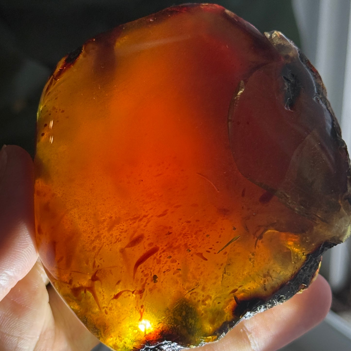 Sumatran Amber