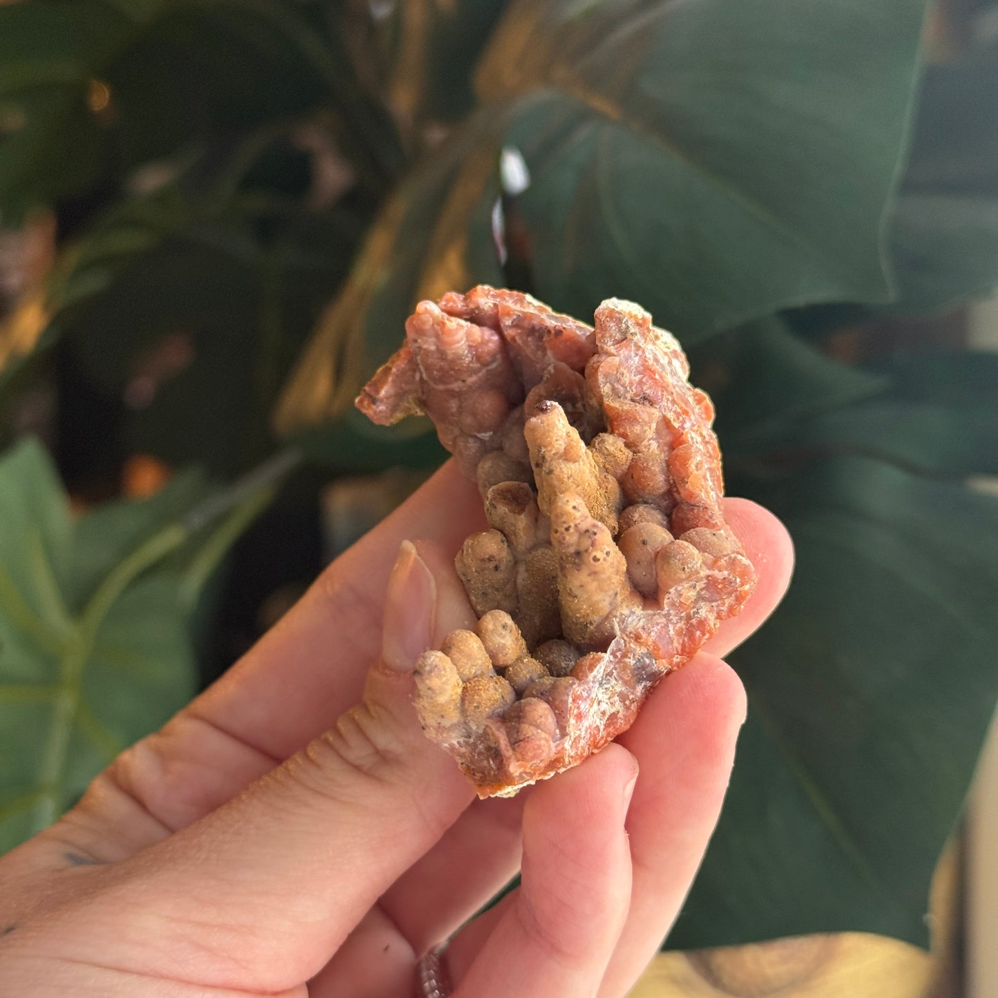 Botryoidal Chalcedony