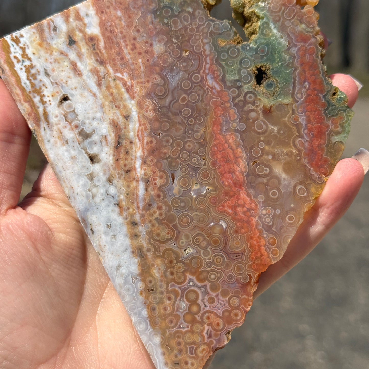 Ocean Jasper Slab