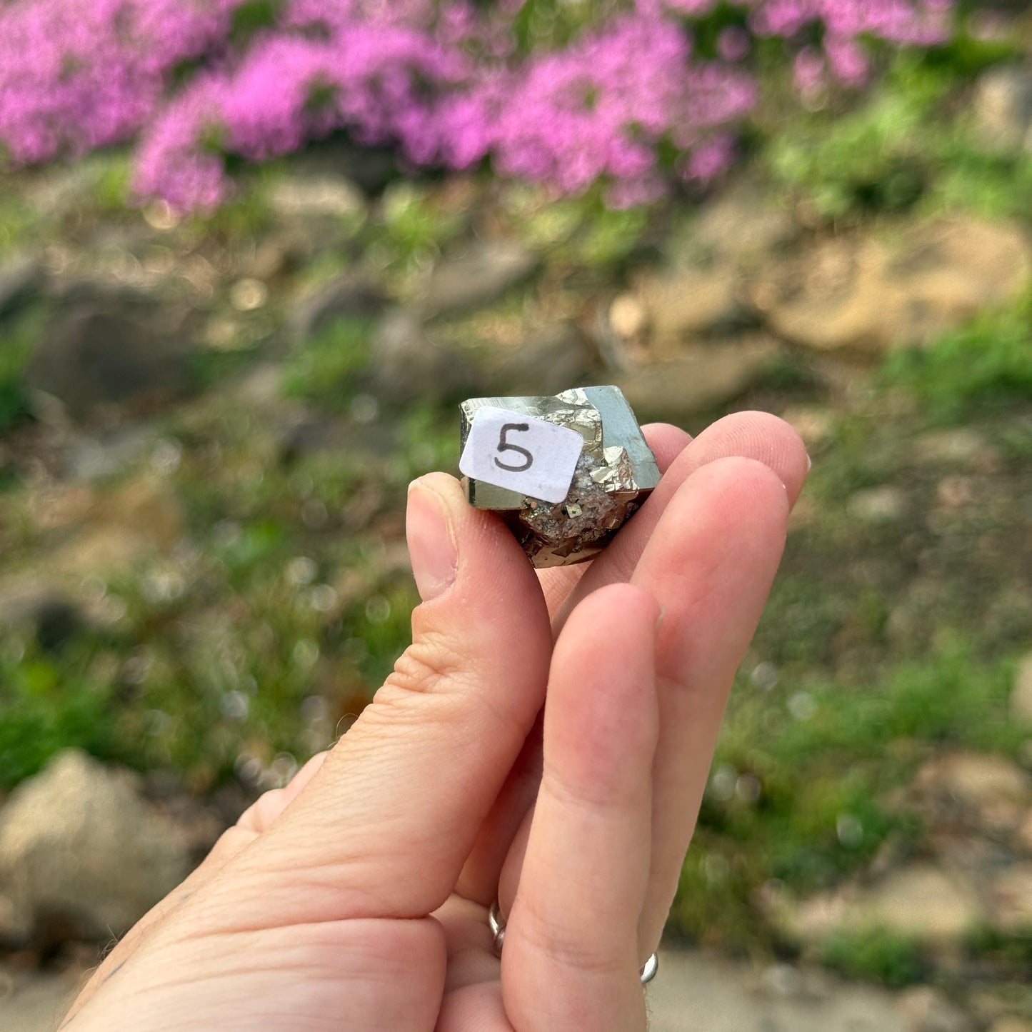 Cubic Pyrite