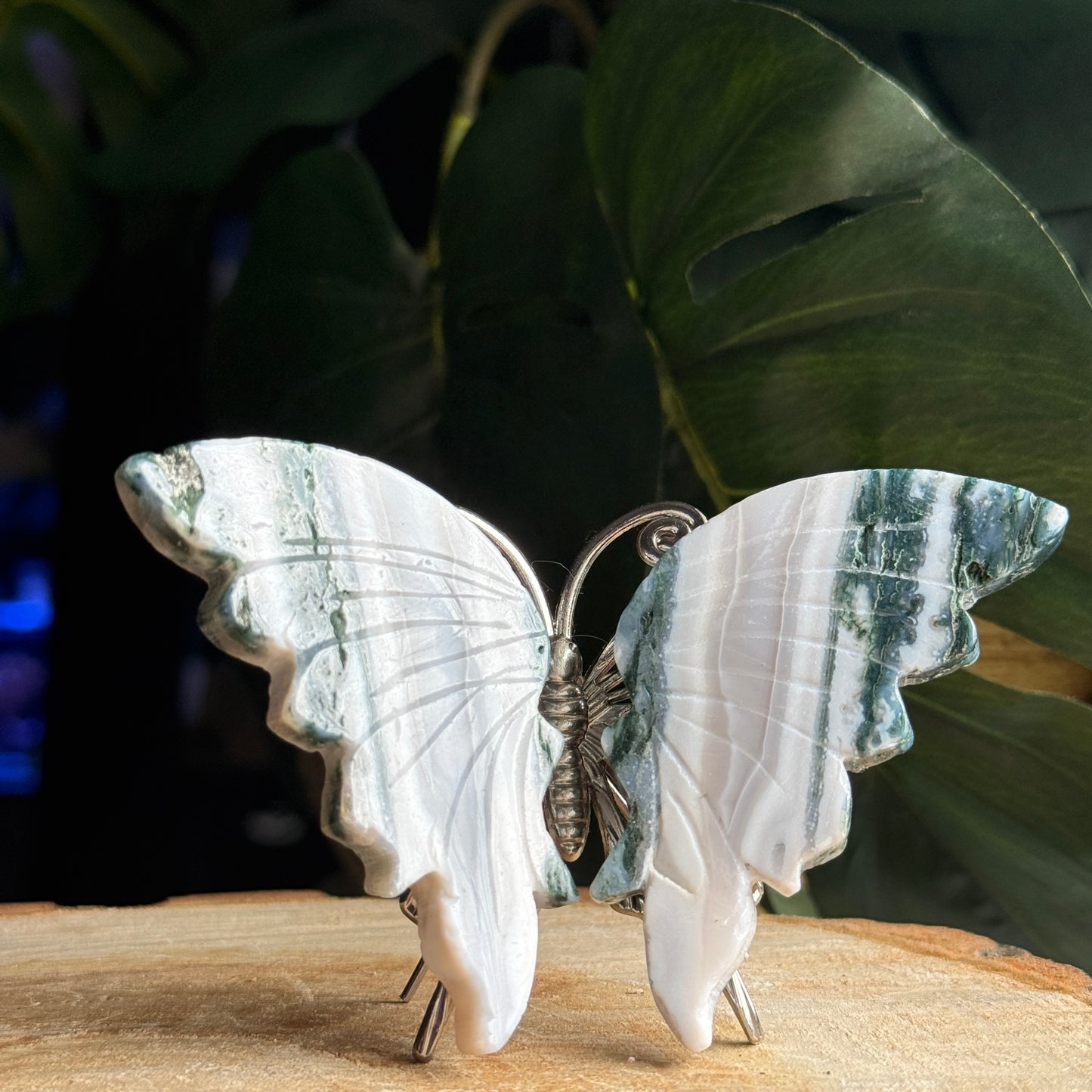 Moss Agate Butterfly B