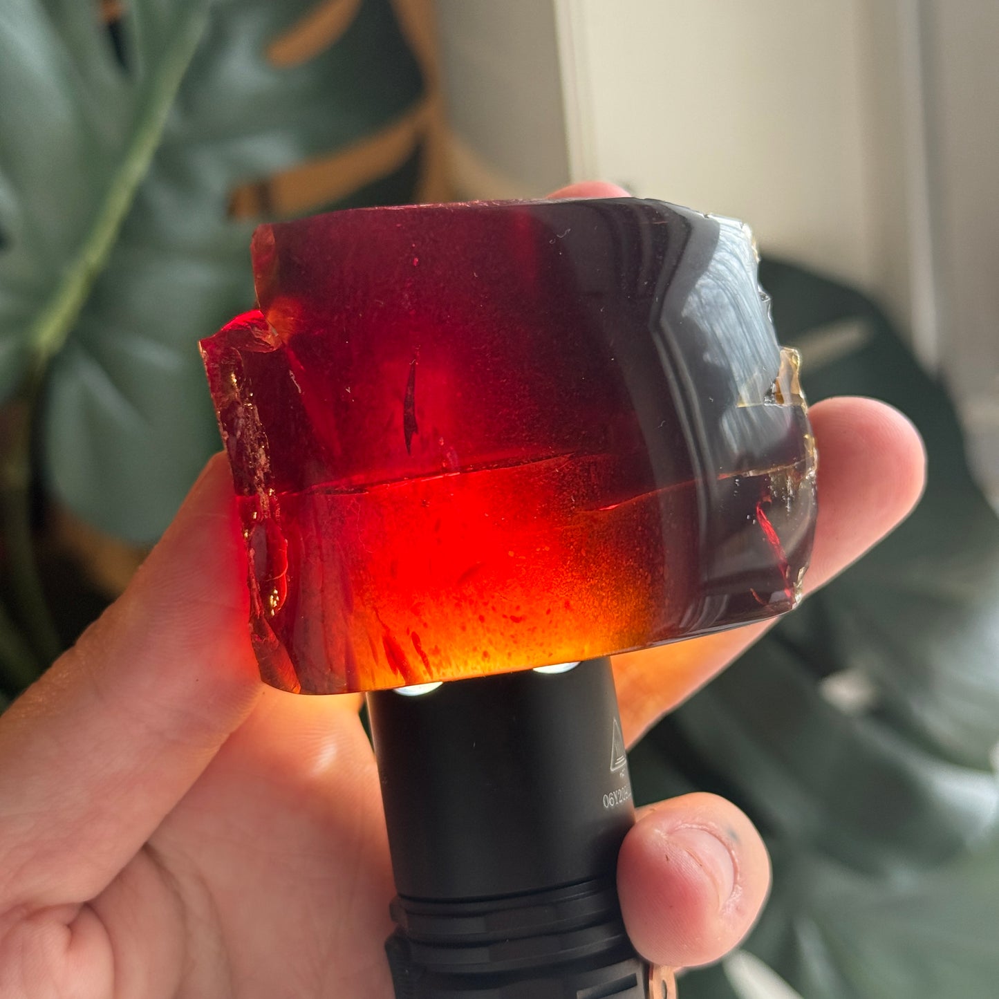 Sumatran Amber