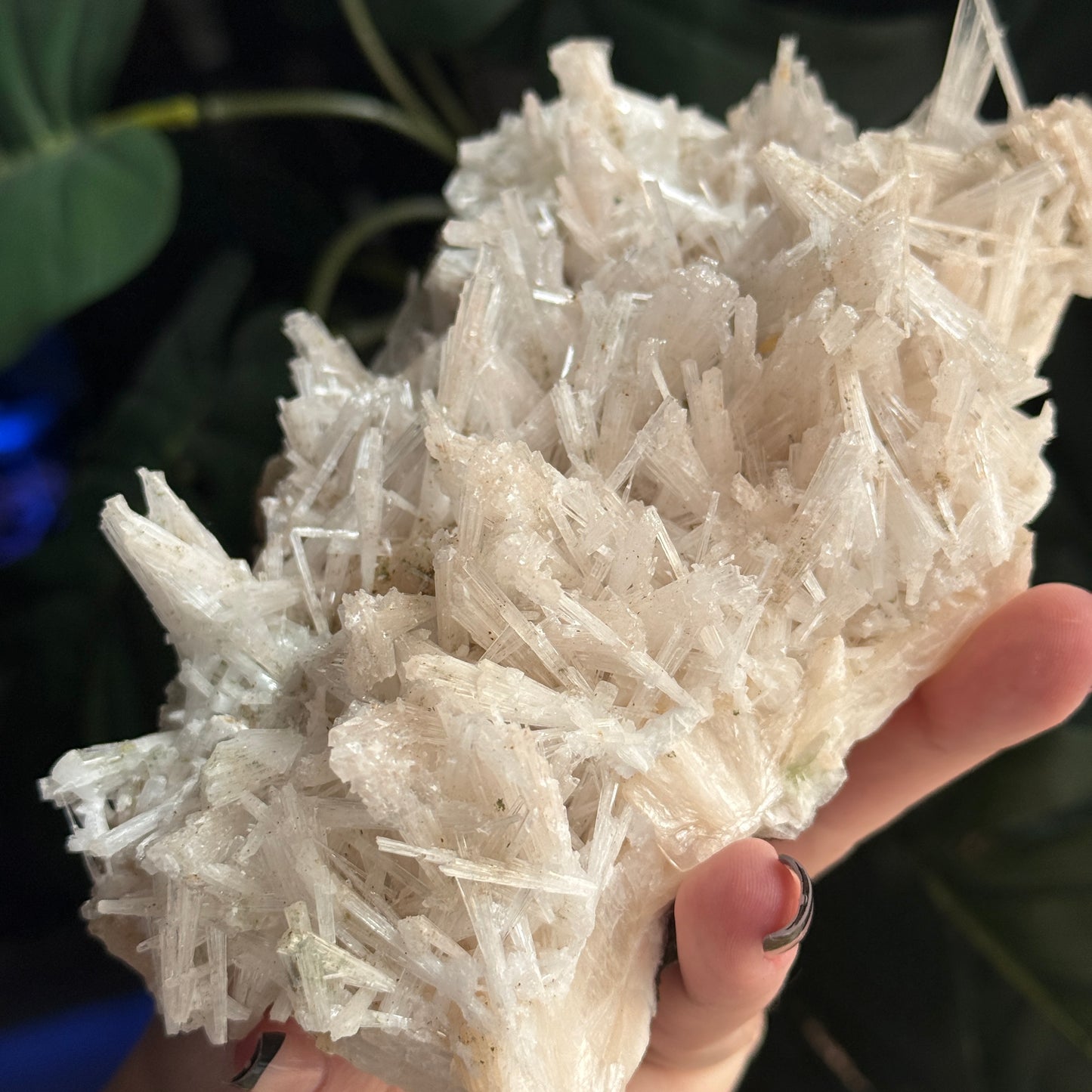Scolecite on Stilbite & Green Apophyllite