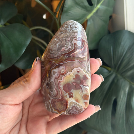 Crazy Lace Agate