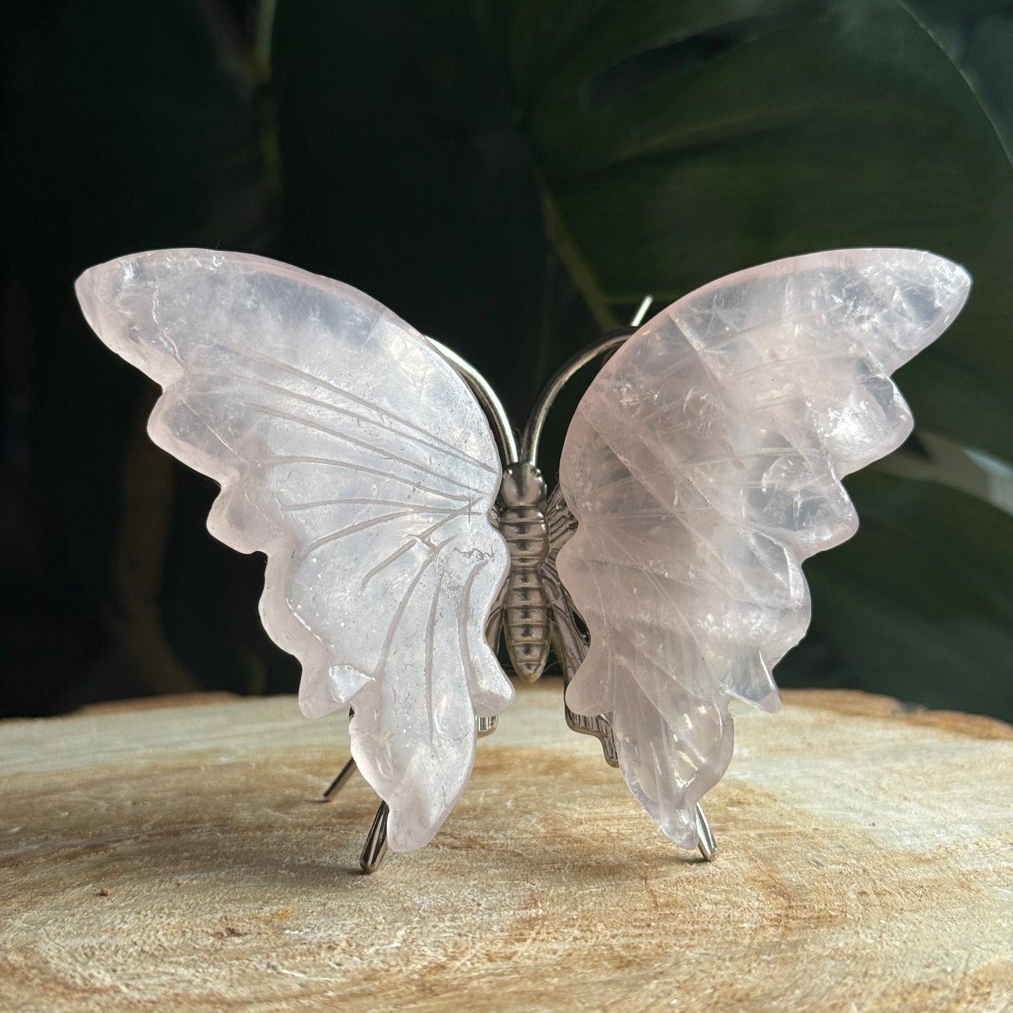 Rose Quartz Butterfly