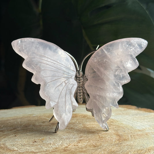 Rose Quartz Butterfly