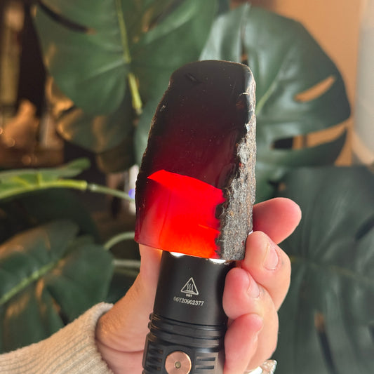 Sumatran Amber