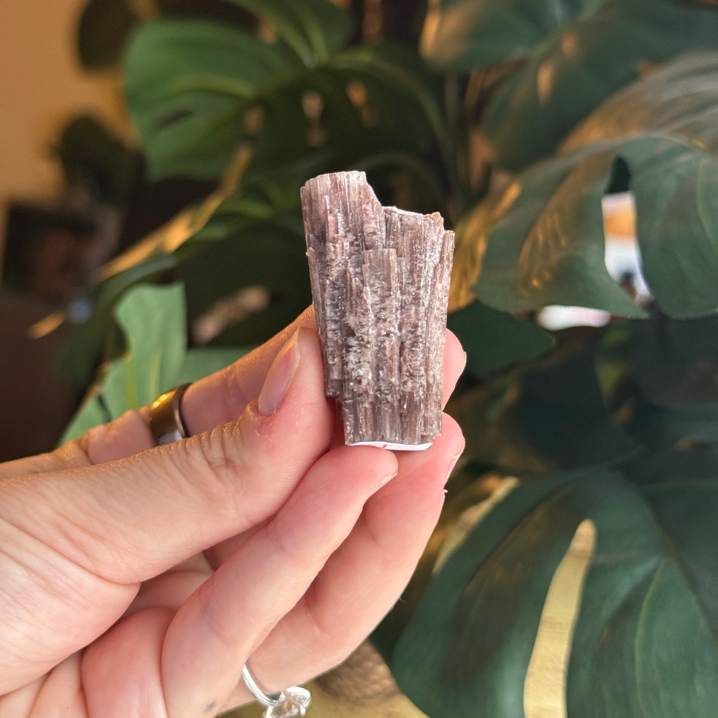 Purple Aragonite