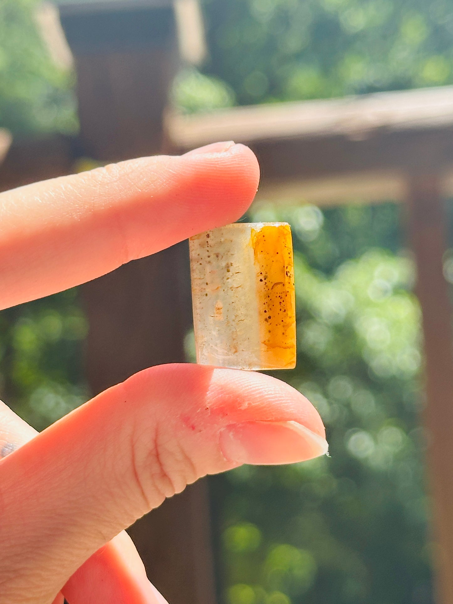 Montana Agate Cabochon