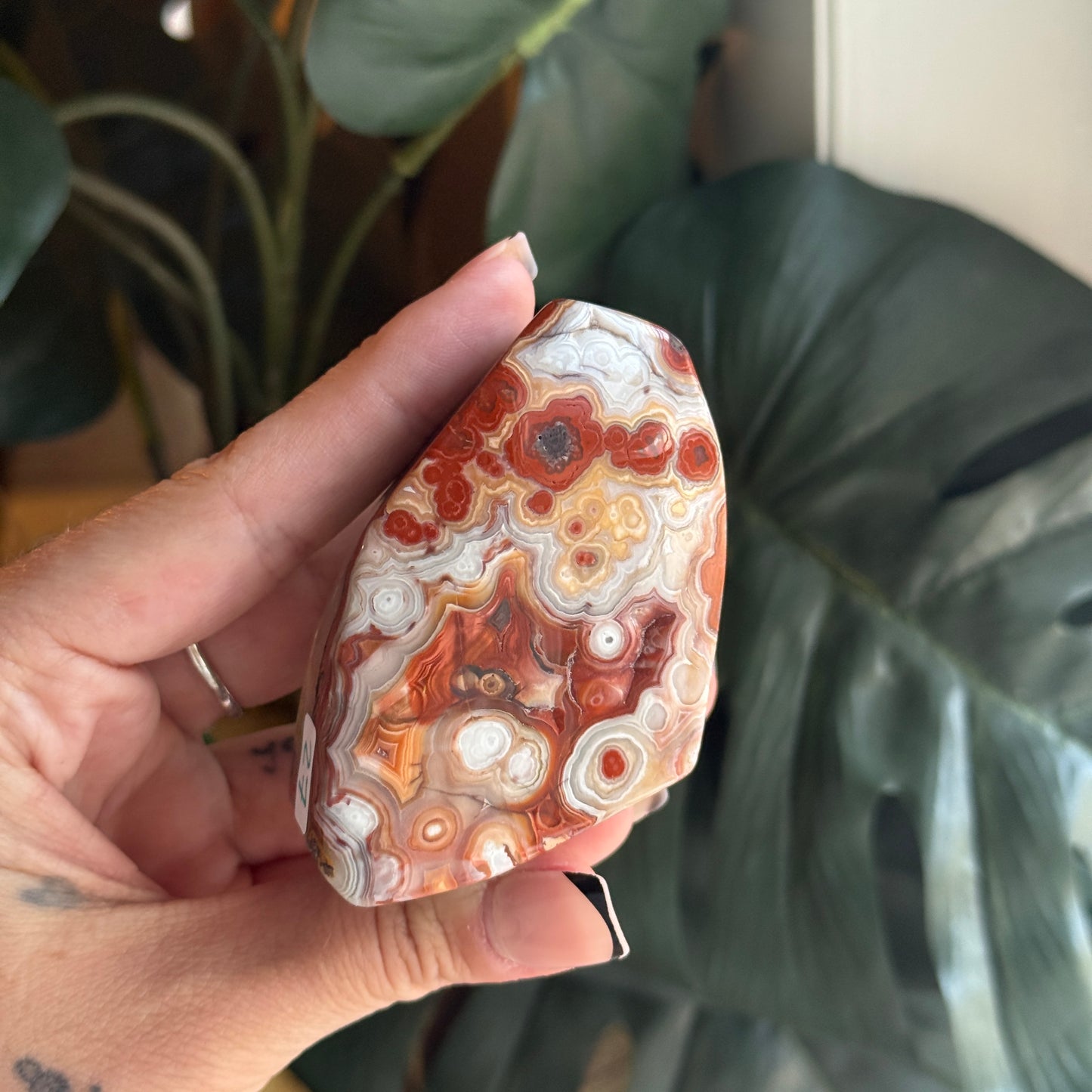 Crazy Lace Agate