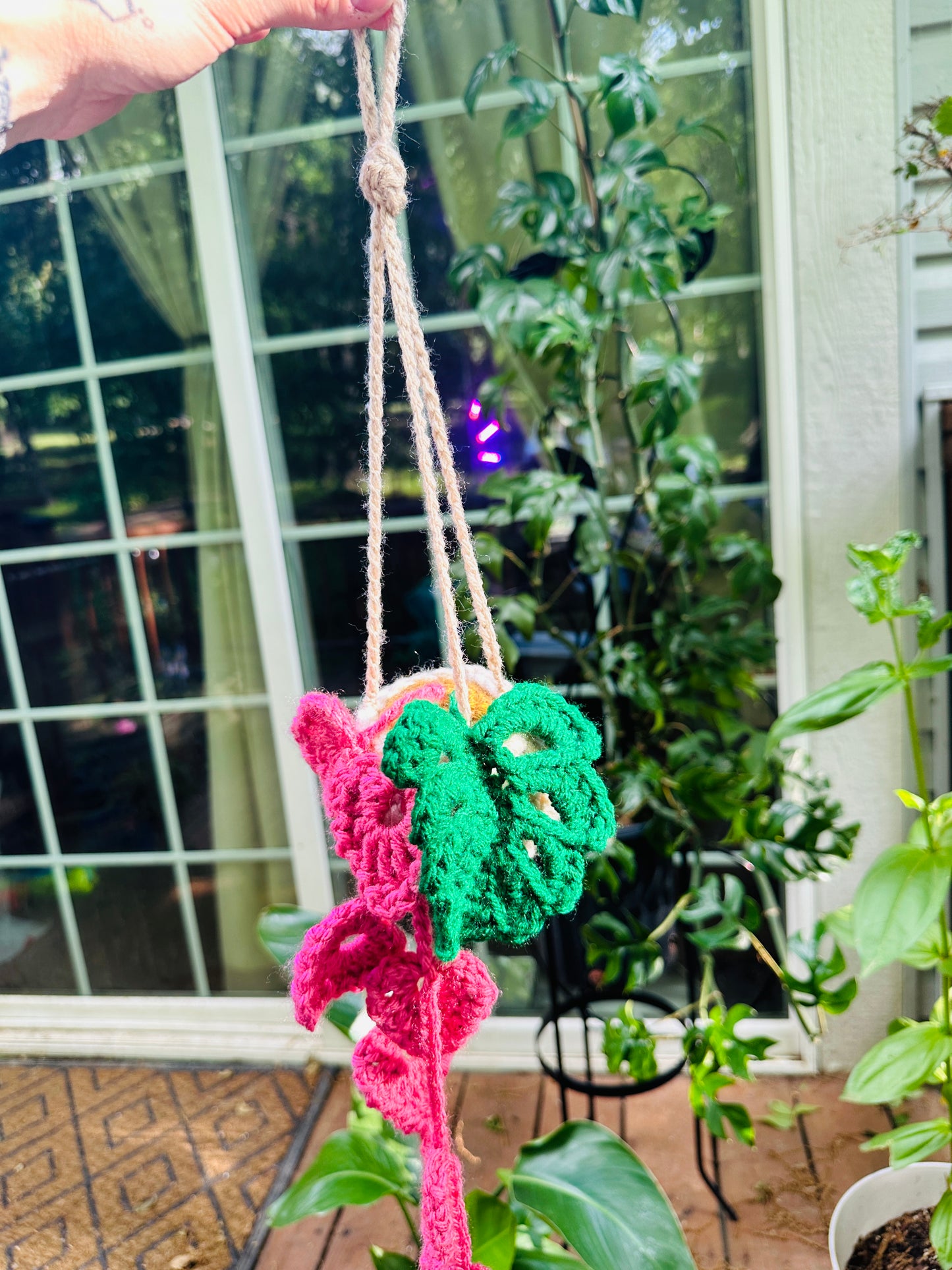 Crochet Hanging Plant