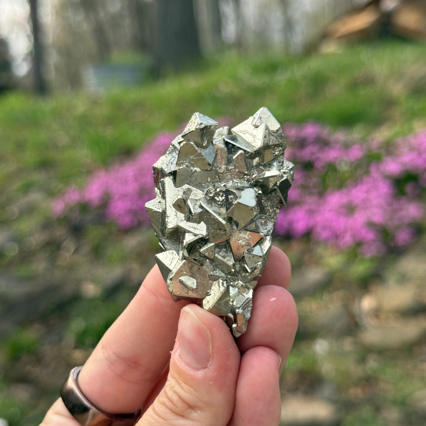 Cubic Pyrite