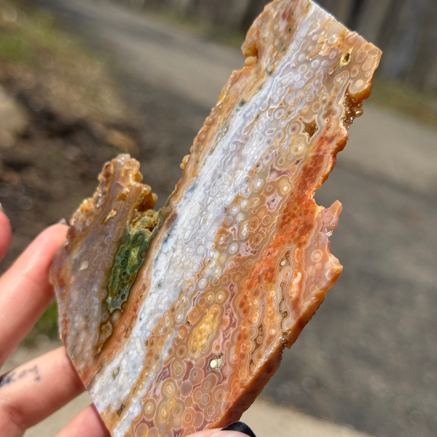 Ocean Jasper Slab