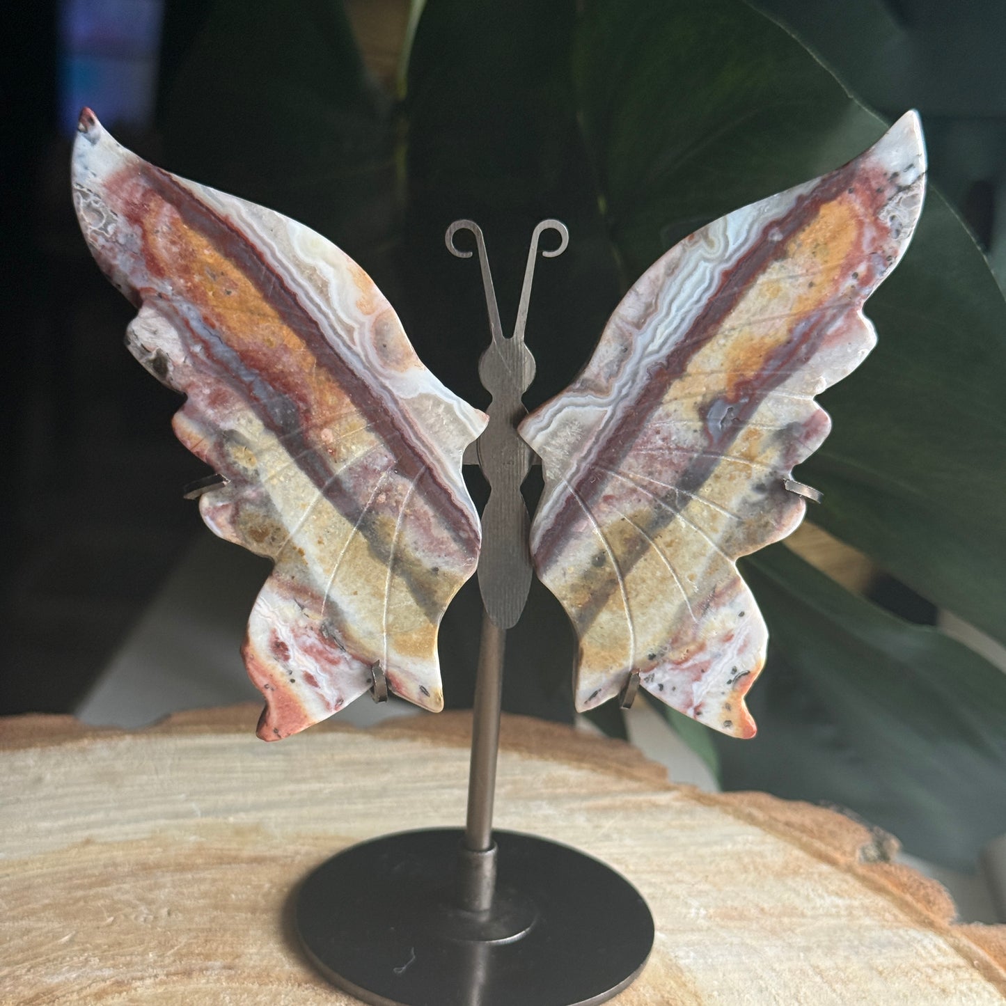 Jasper Butterfly Wings on Stand F