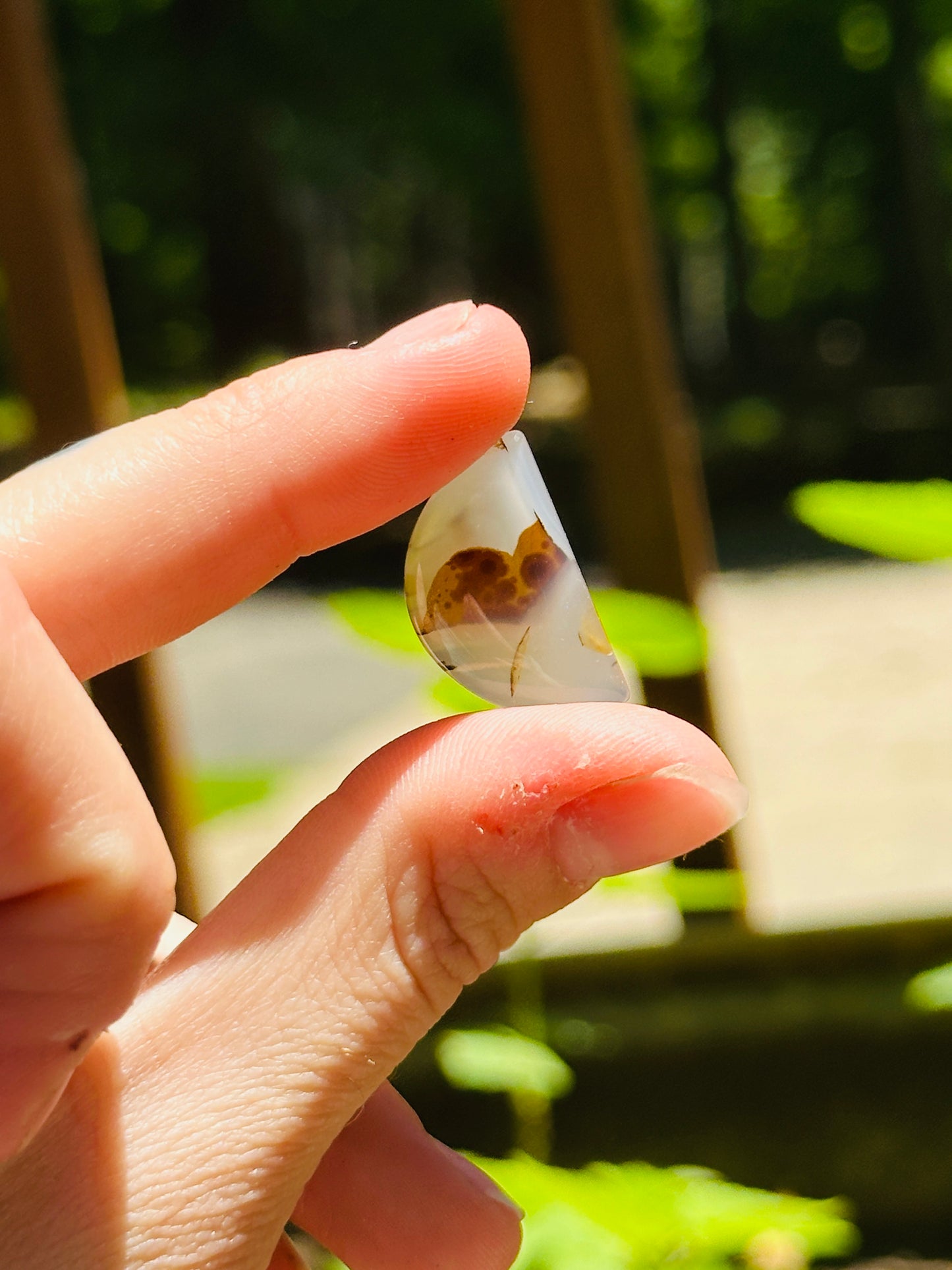 Montana Agate Cabochon