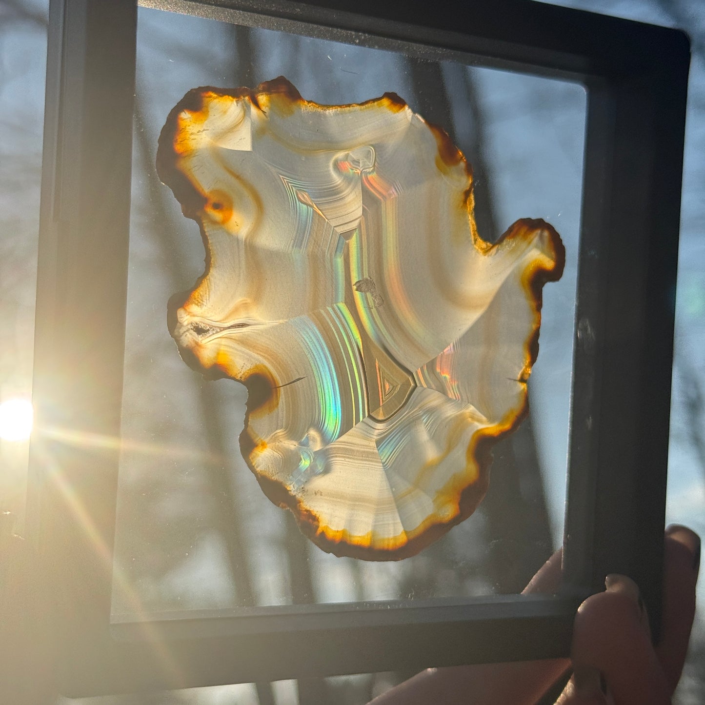 Iris Agate A