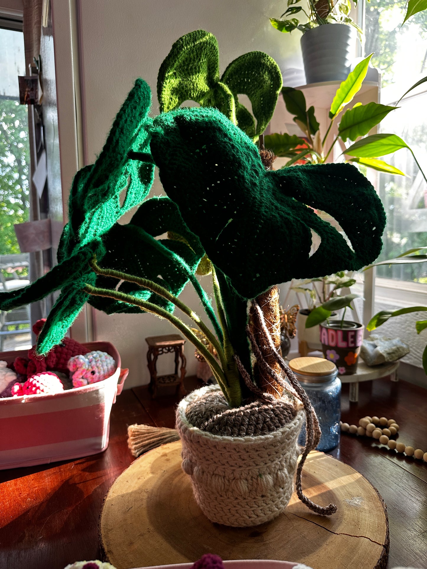 Crochet Monstera