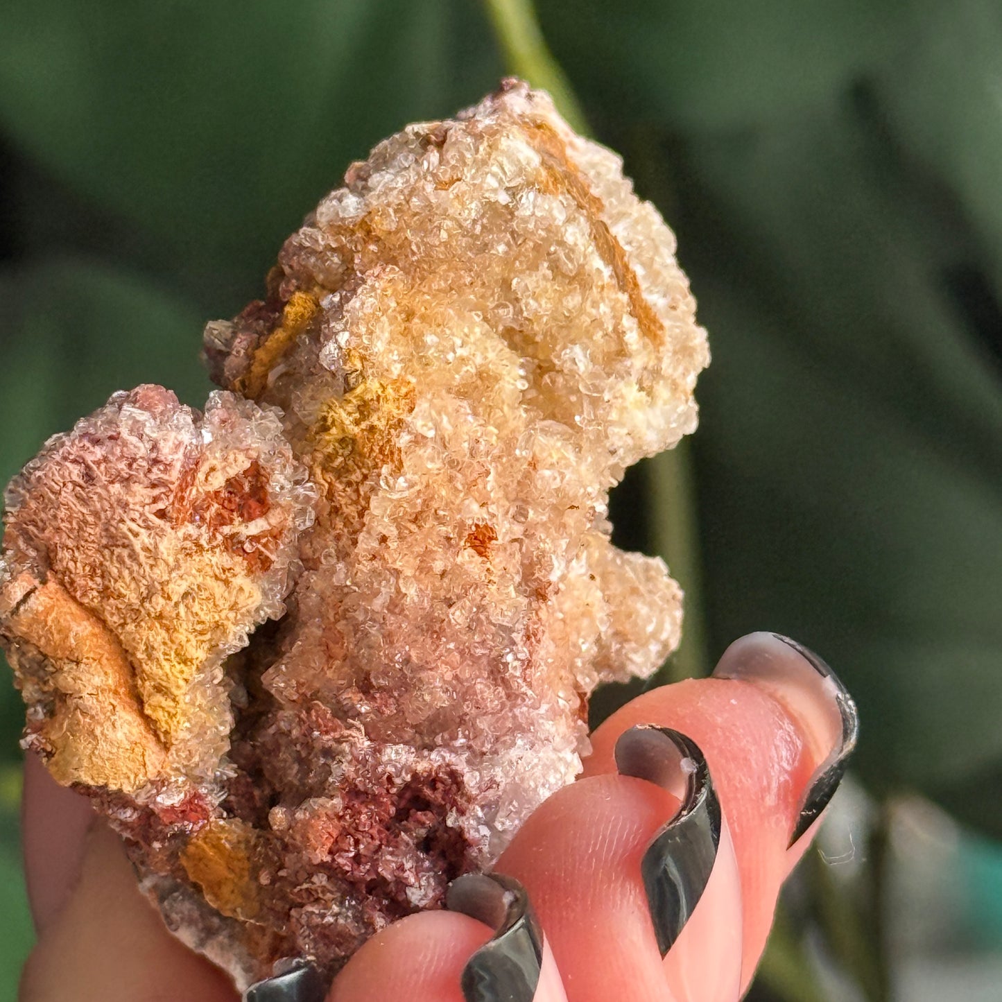 Creedite Specimen A