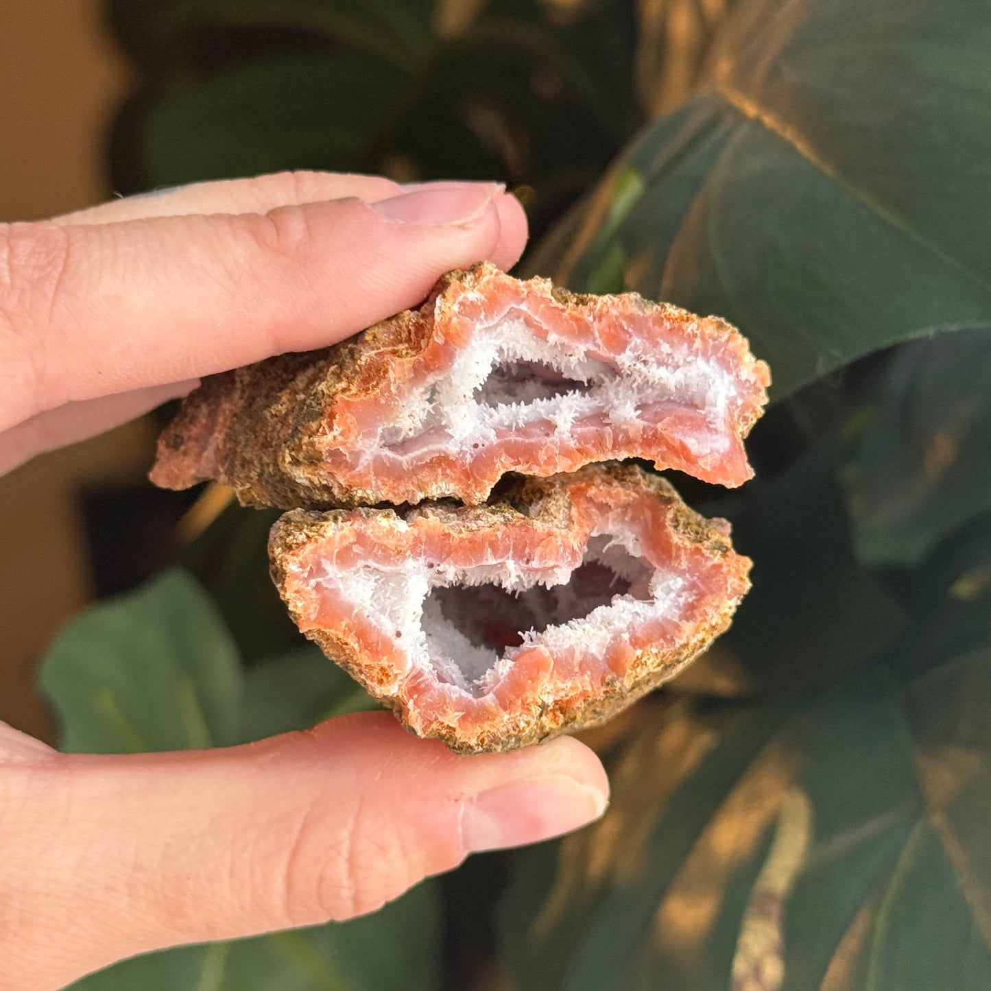 Botryoidal Chalcedony Raw Geode *PAIR*