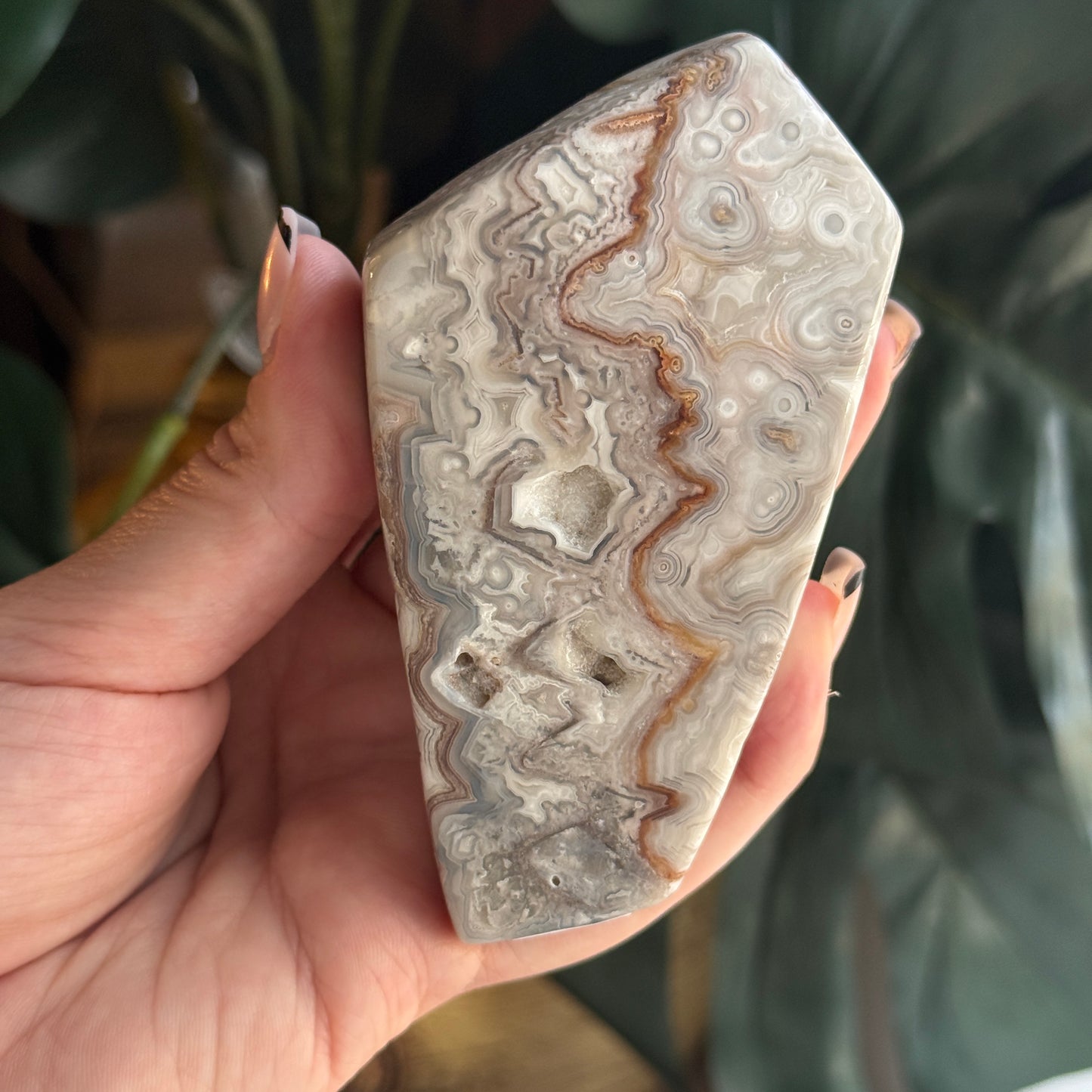 Crazy Lace Agate