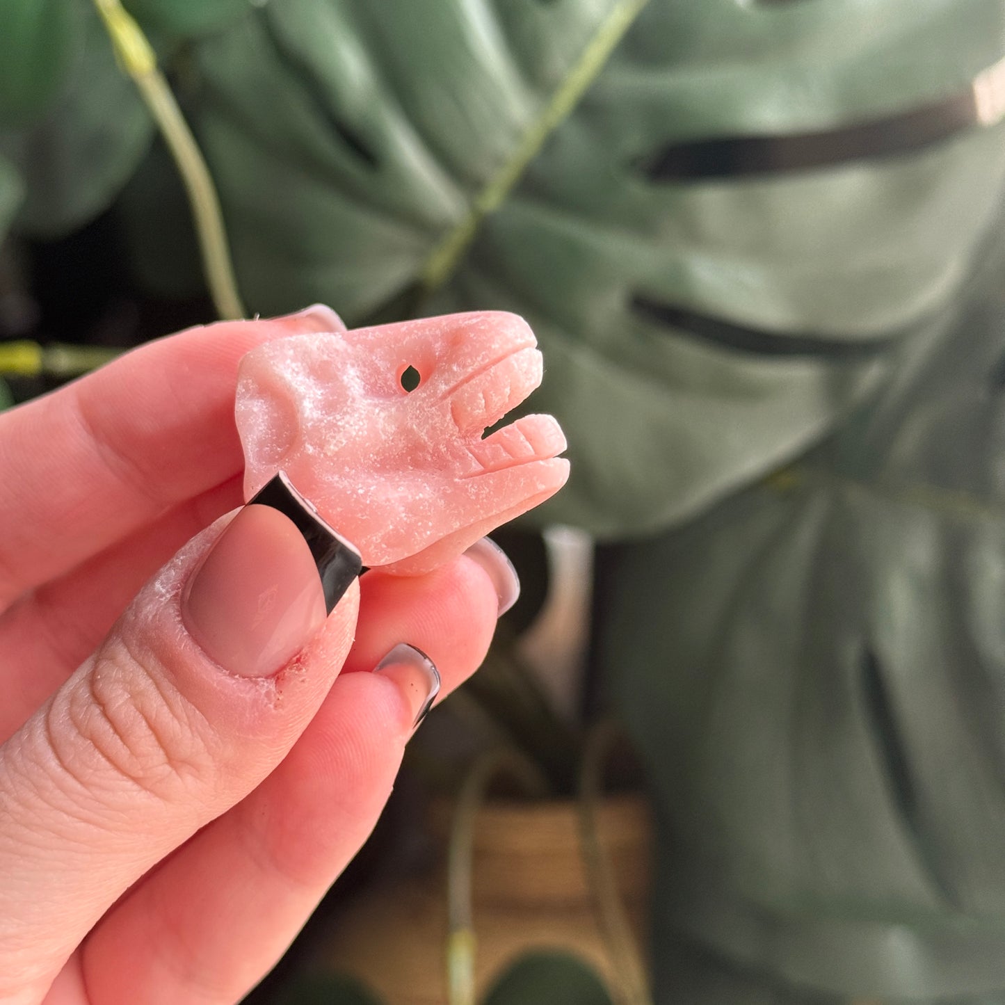 Dino Skull Carving