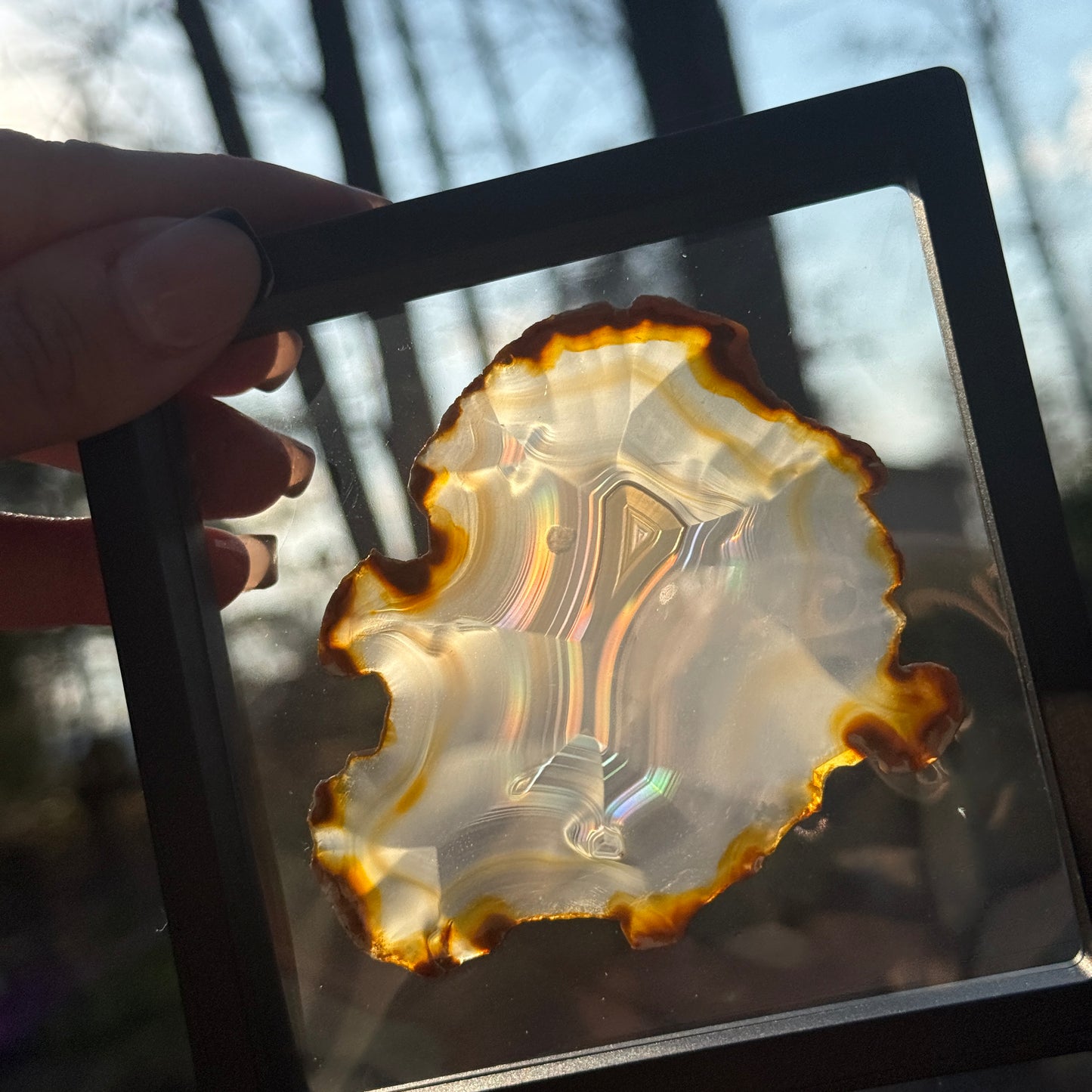 Iris Agate C