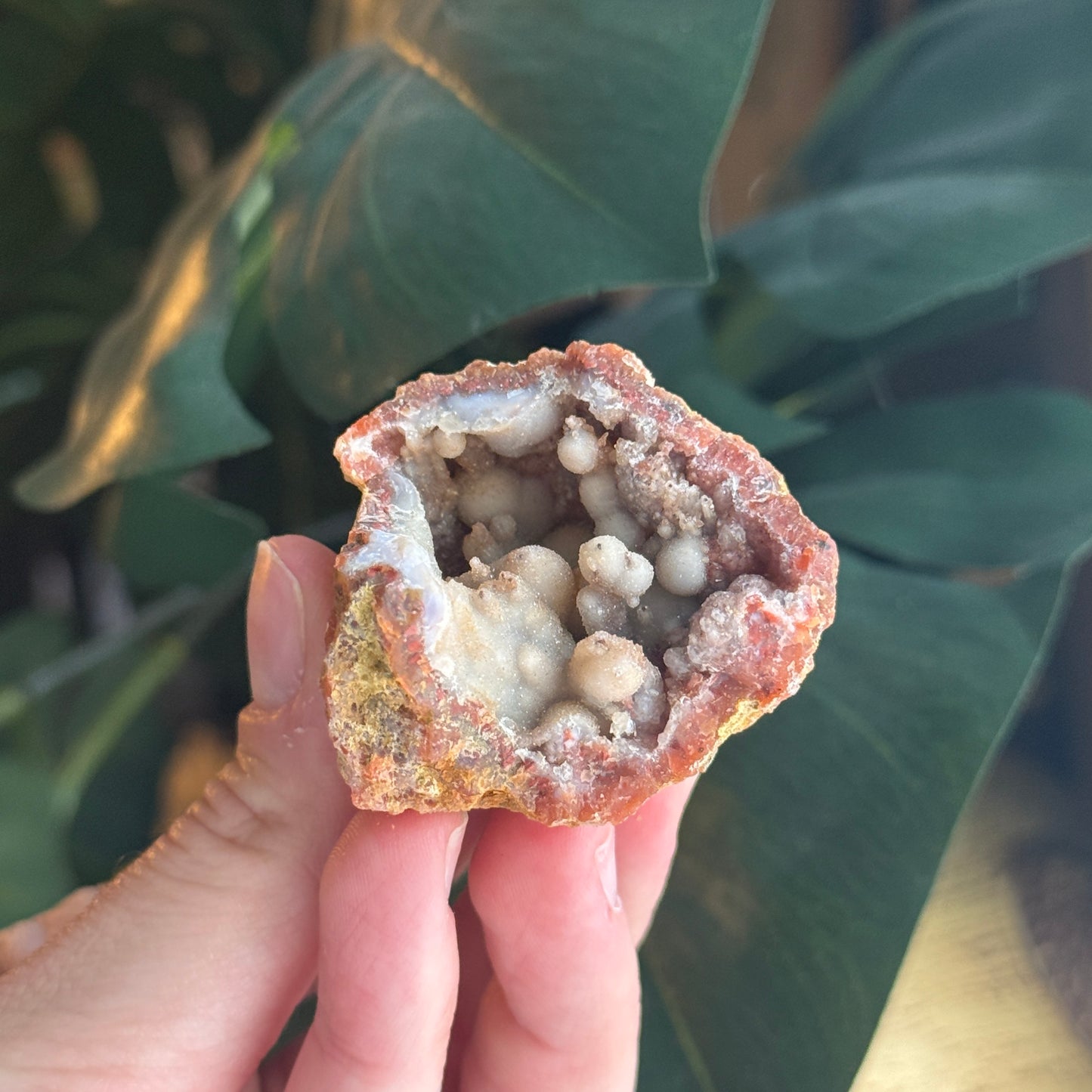 Botryoidal Chalcedony