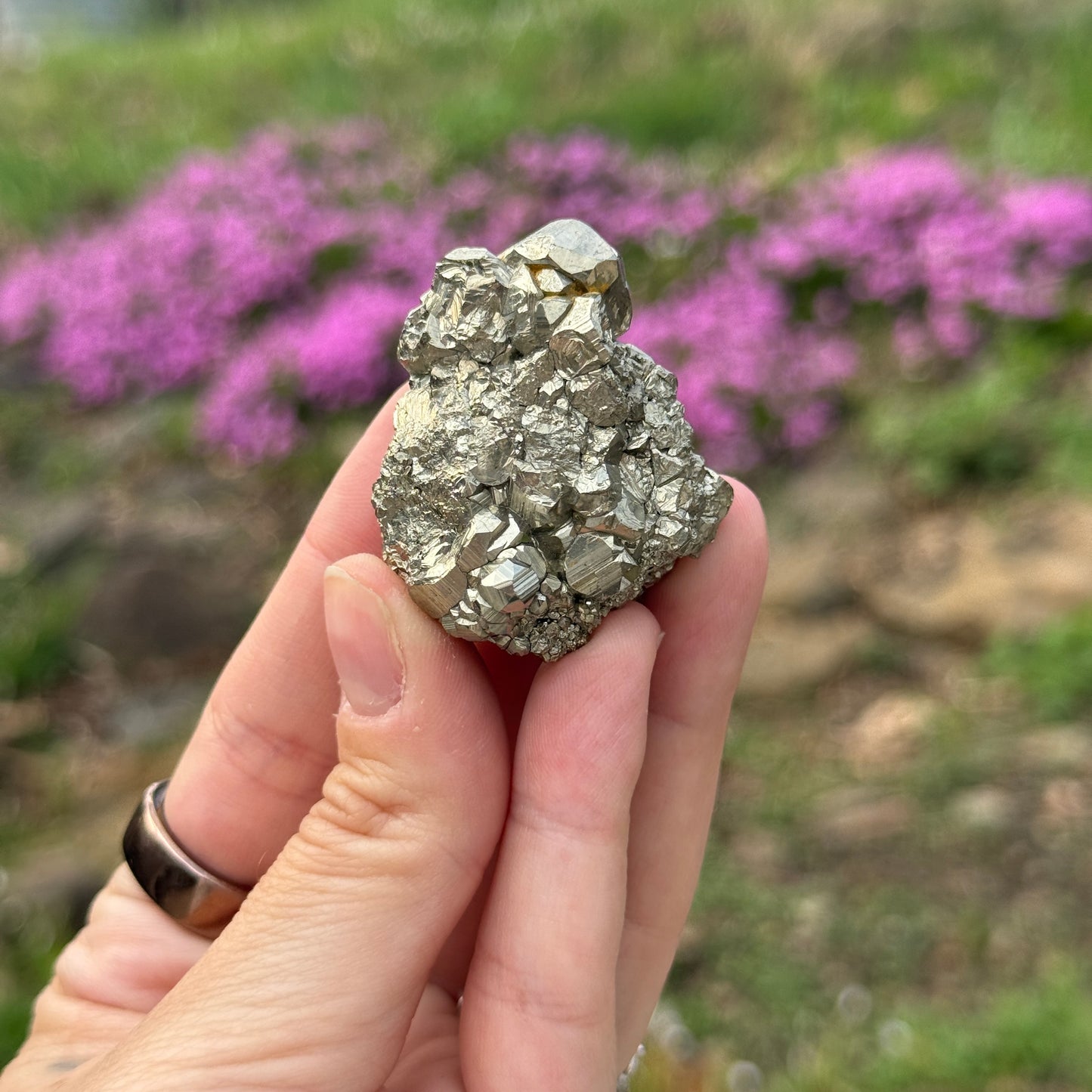 Cubic Pyrite