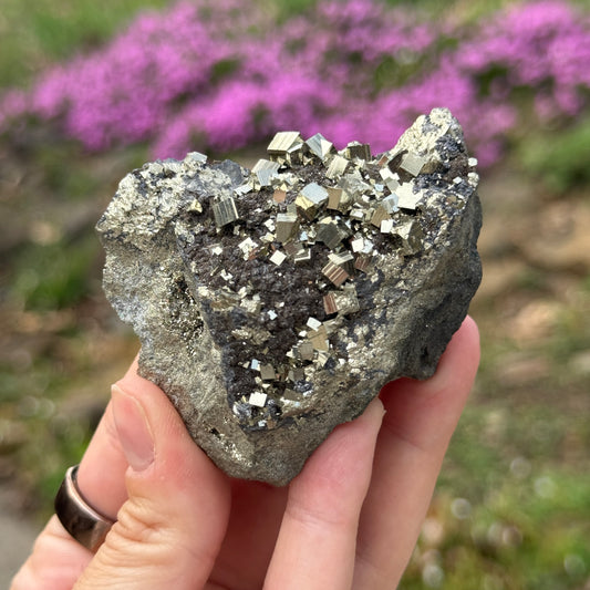 Cubic Pyrite on Matrix