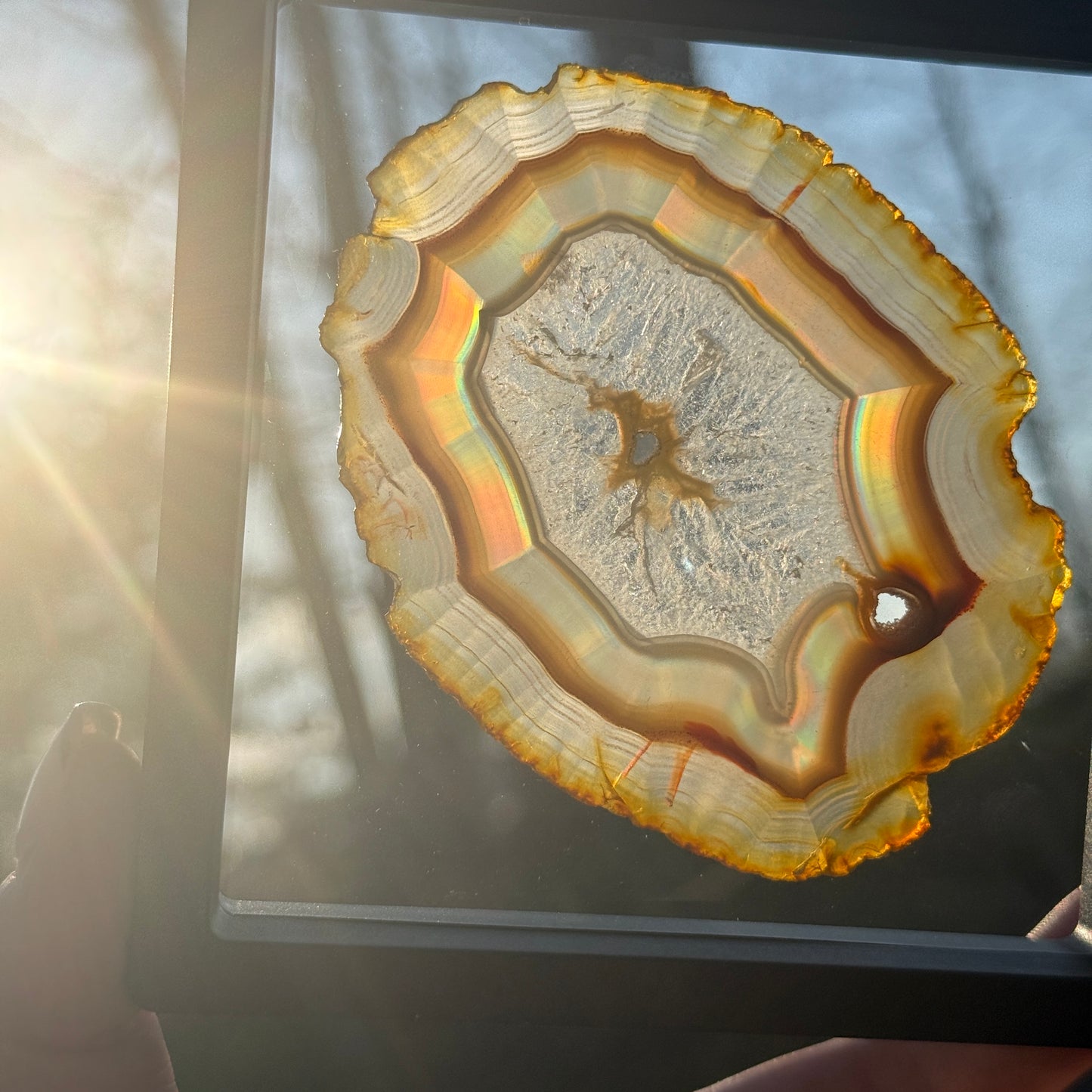 Iris Agate B