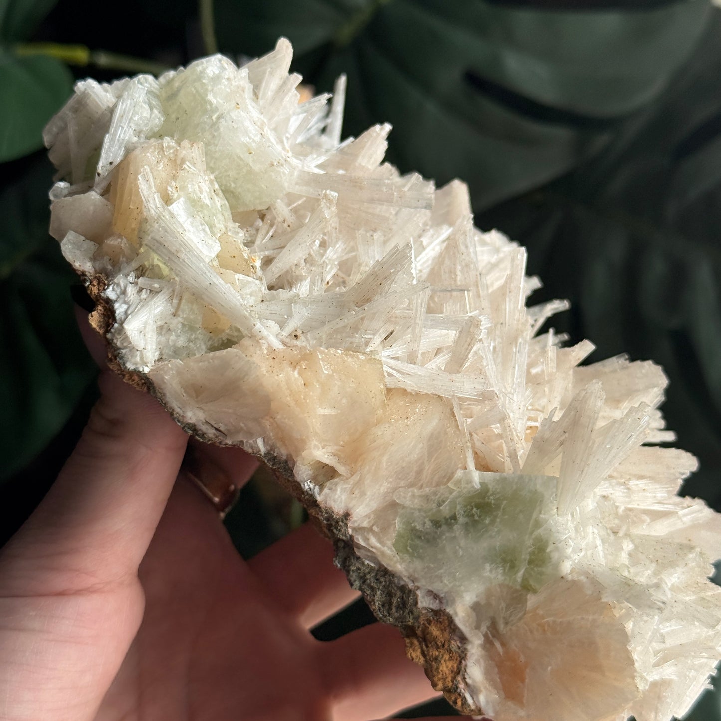 Scolecite on Stilbite & Green Apophyllite