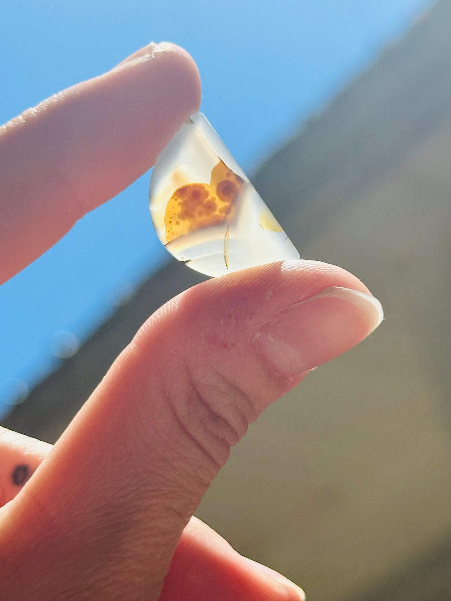 Montana Agate Cabochon