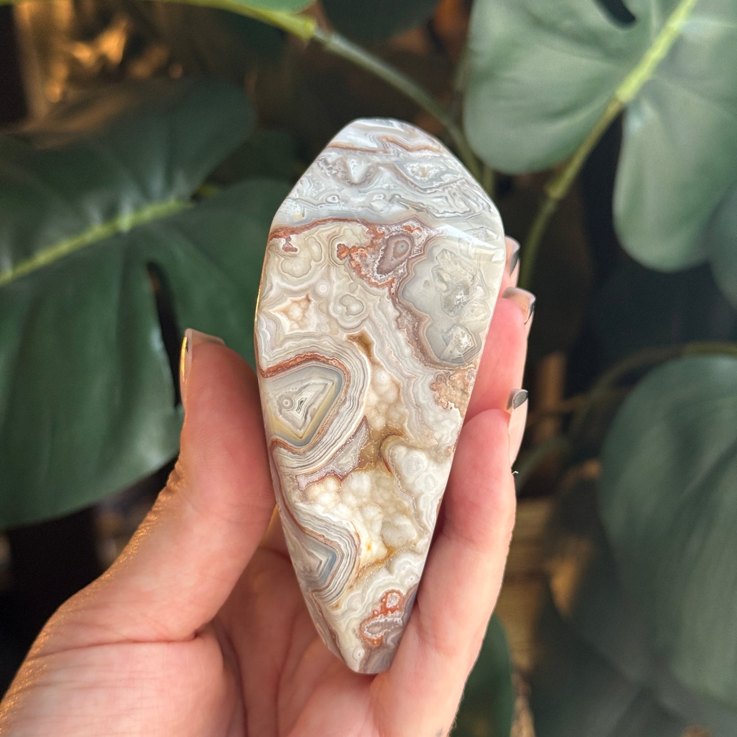 Crazy Lace Agate