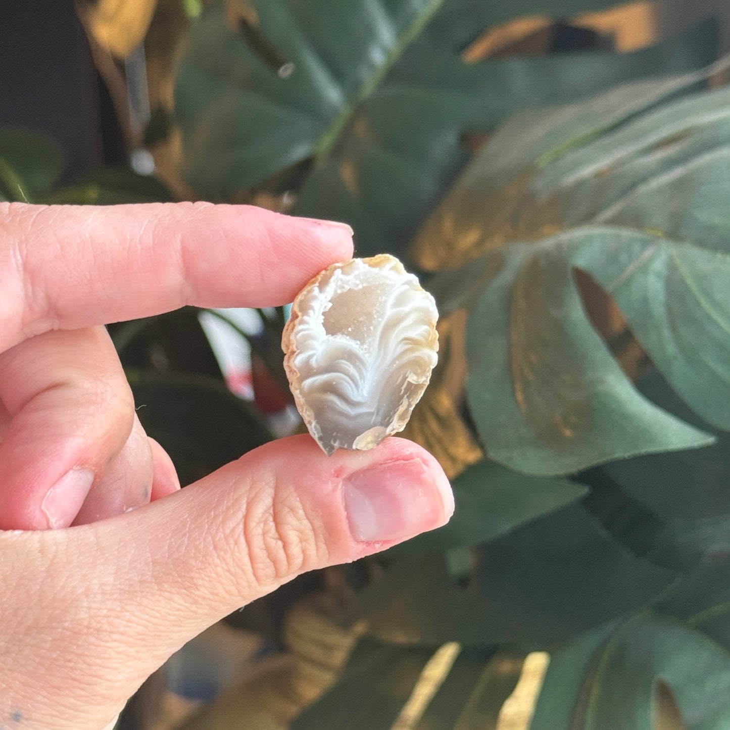 Mini Occo Agate Geode Halves