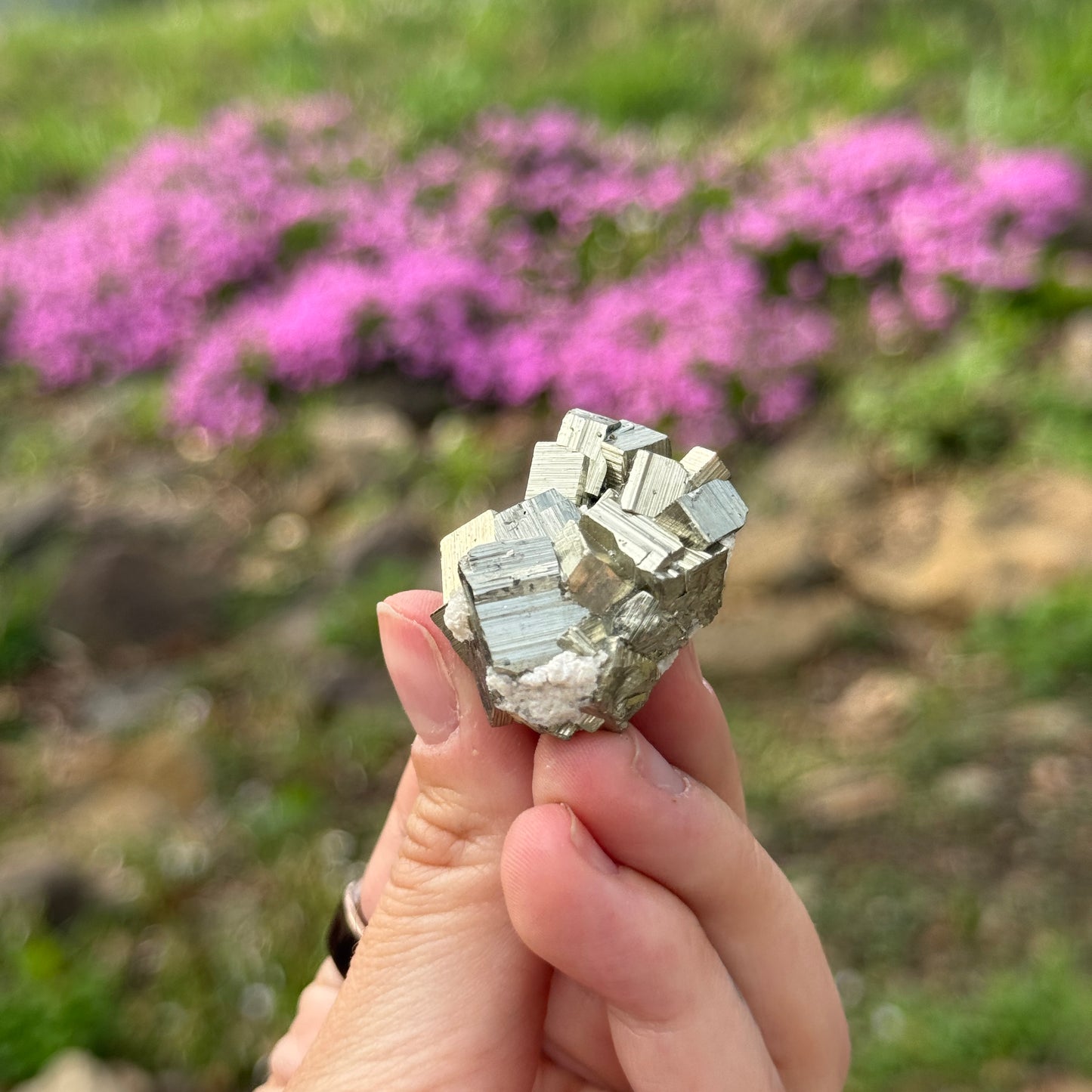 Cubic Pyrite
