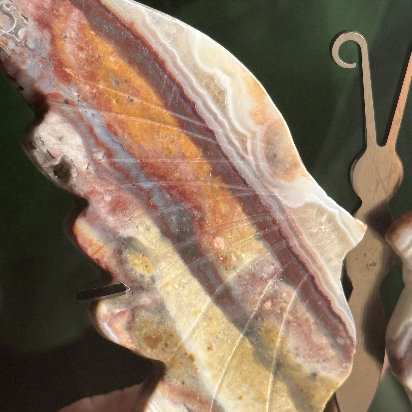 Jasper Butterfly Wings on Stand F