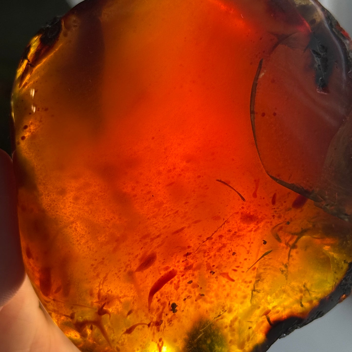 Sumatran Amber