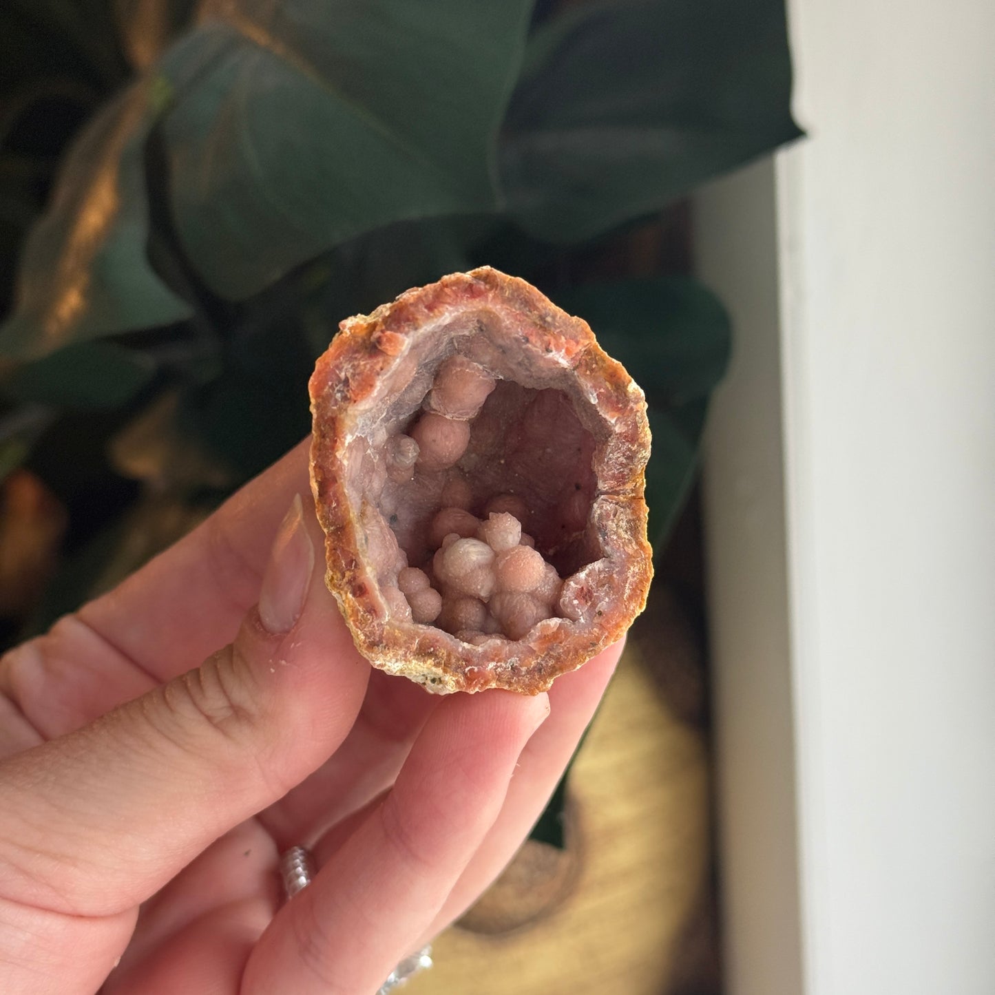 Botryoidal Chalcedony