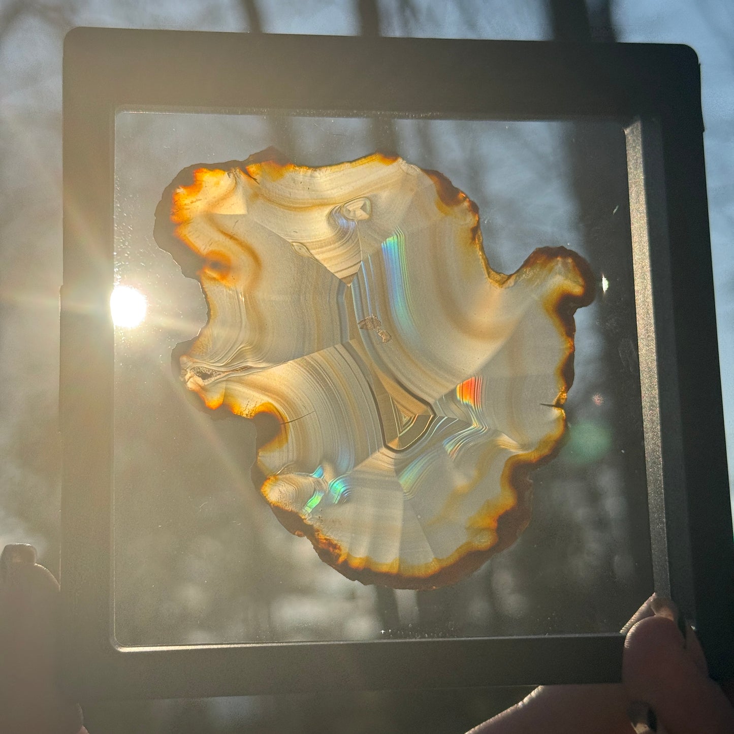 Iris Agate A