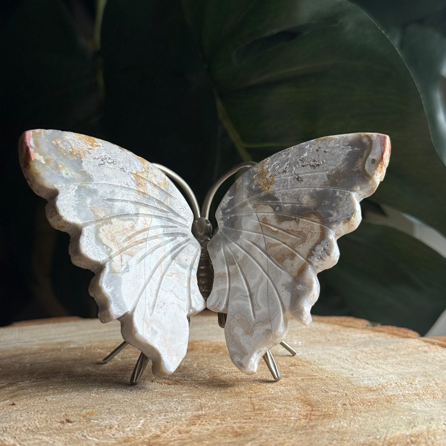 Crazy Lace Agate Butterfly i
