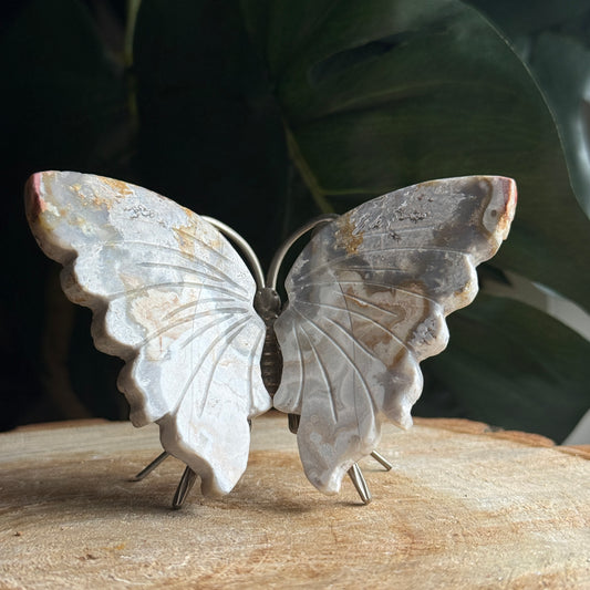 Crazy Lace Agate Butterfly i