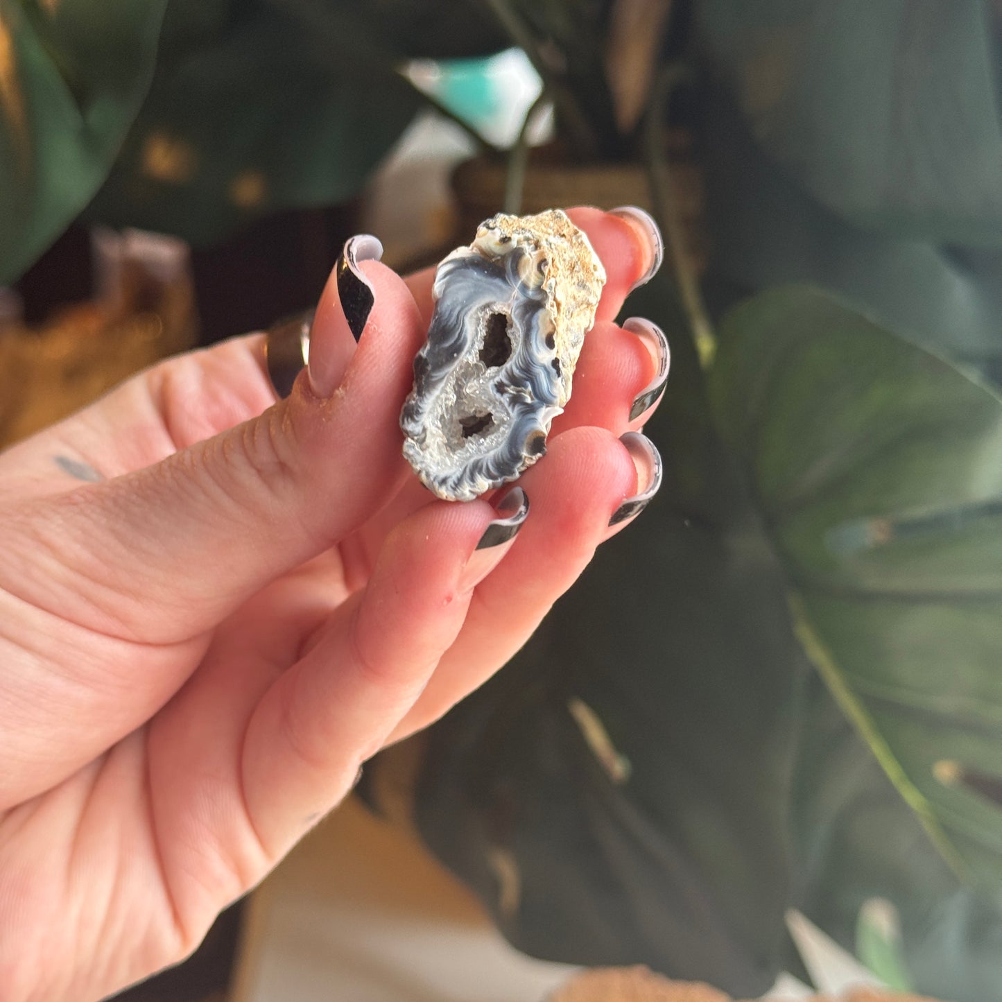 Mini Occo Agate Geode Half (tiff picks)