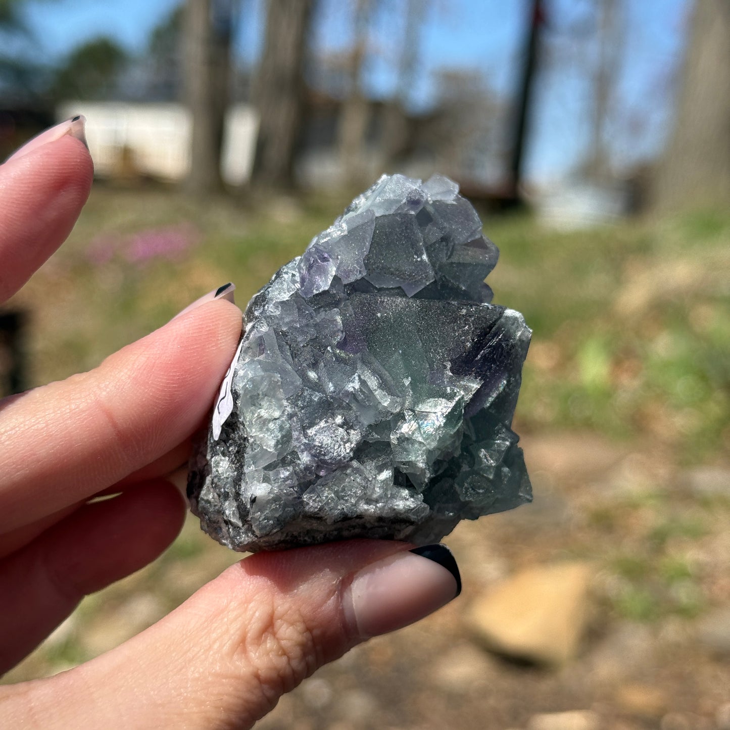 Cubic Fluorite