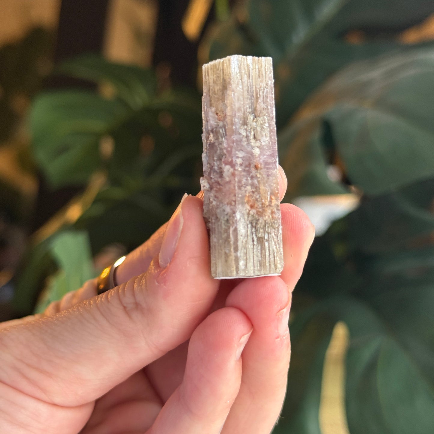 Purple Aragonite