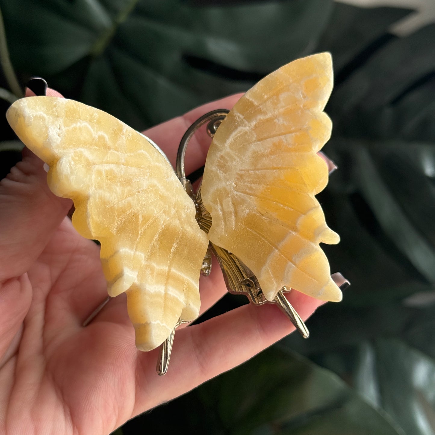 Lemon Calcite Butterfly j