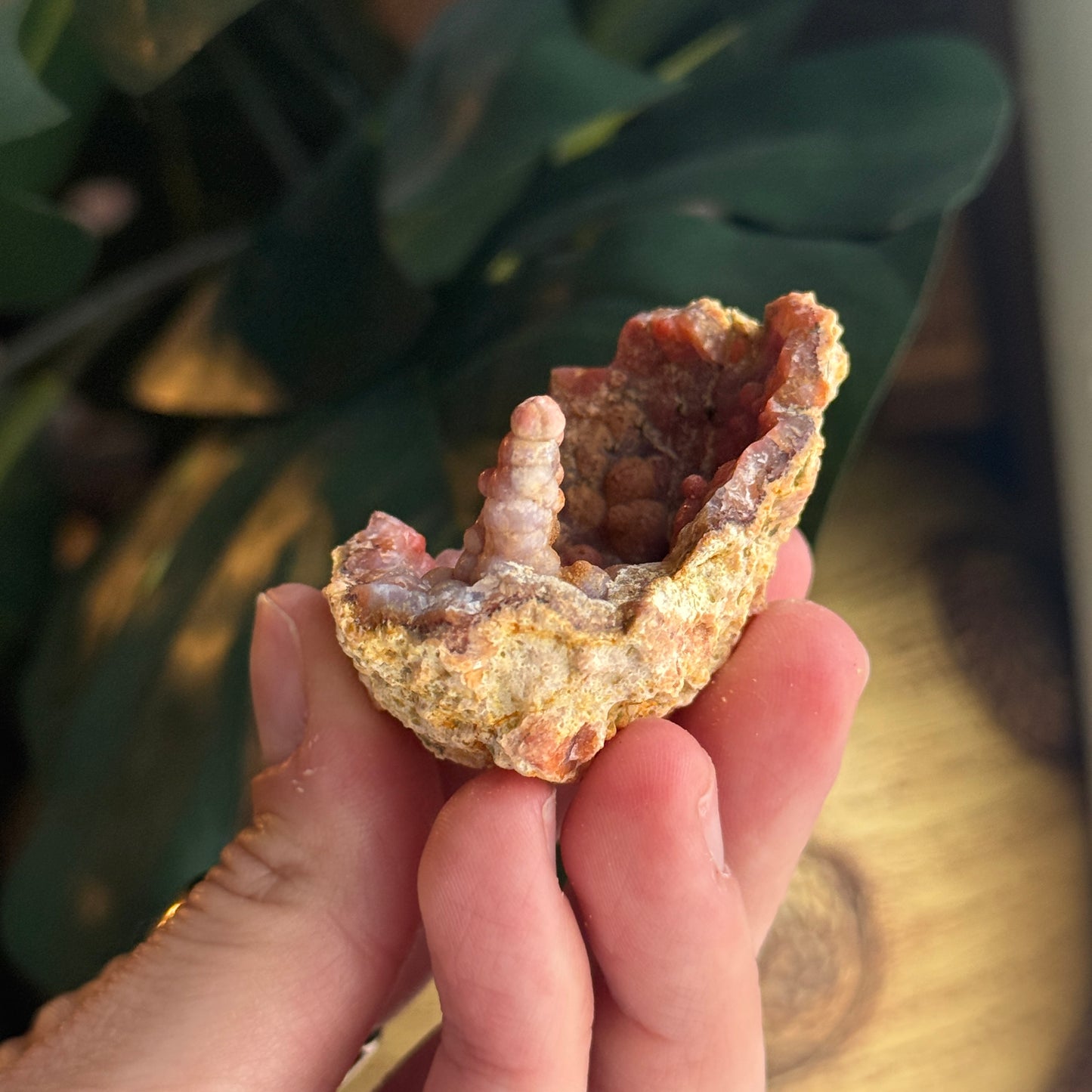 Botryoidal Chalcedony Stalactite