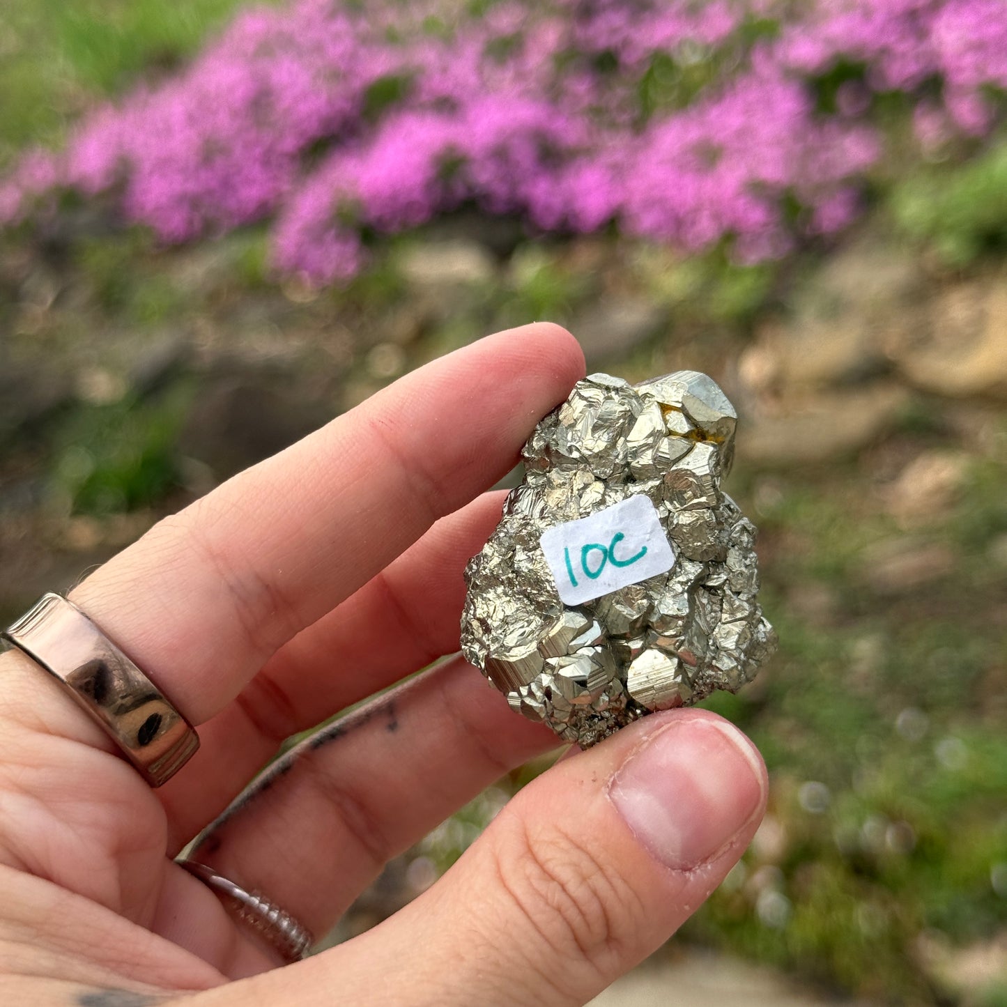 Cubic Pyrite