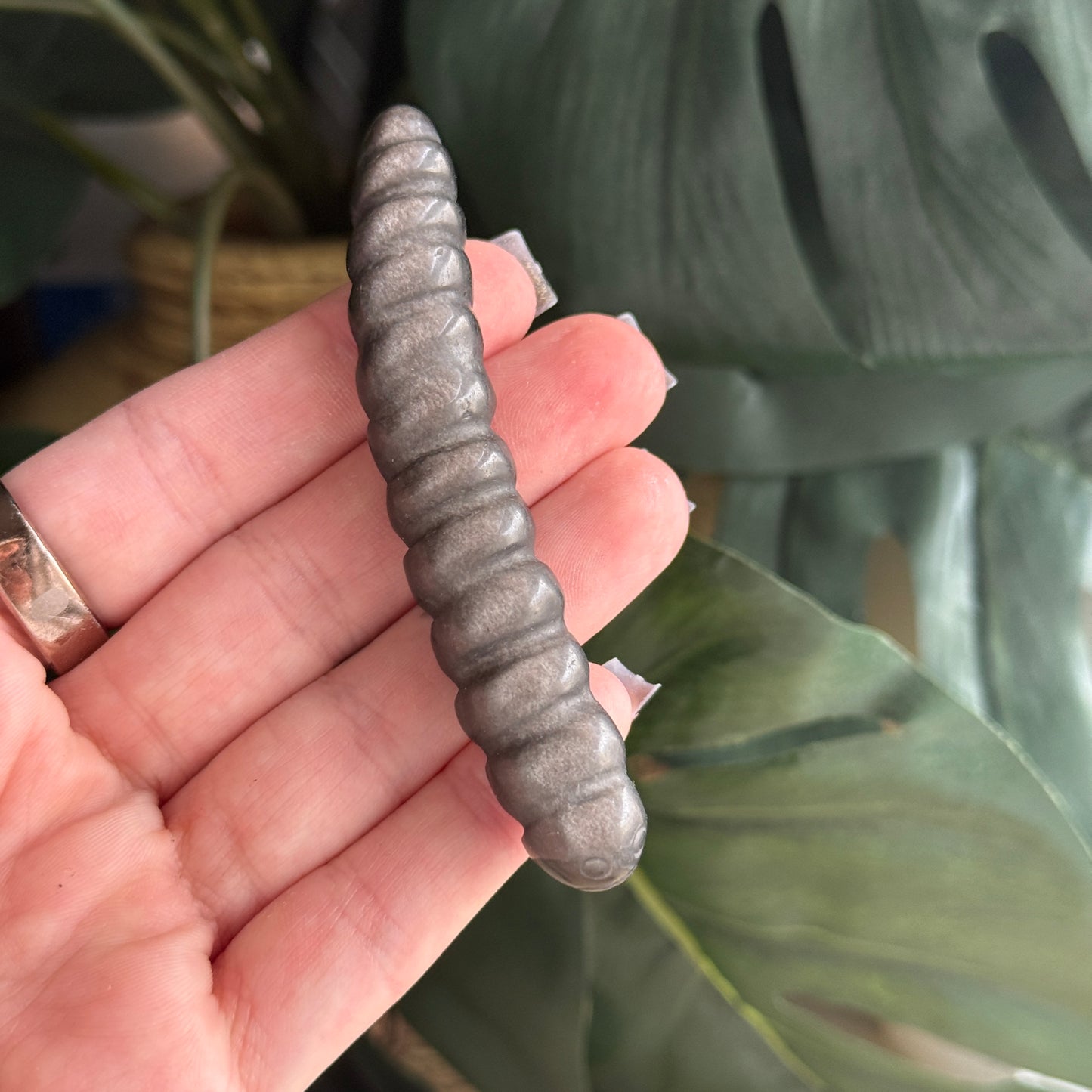 Caterpillar Carving
