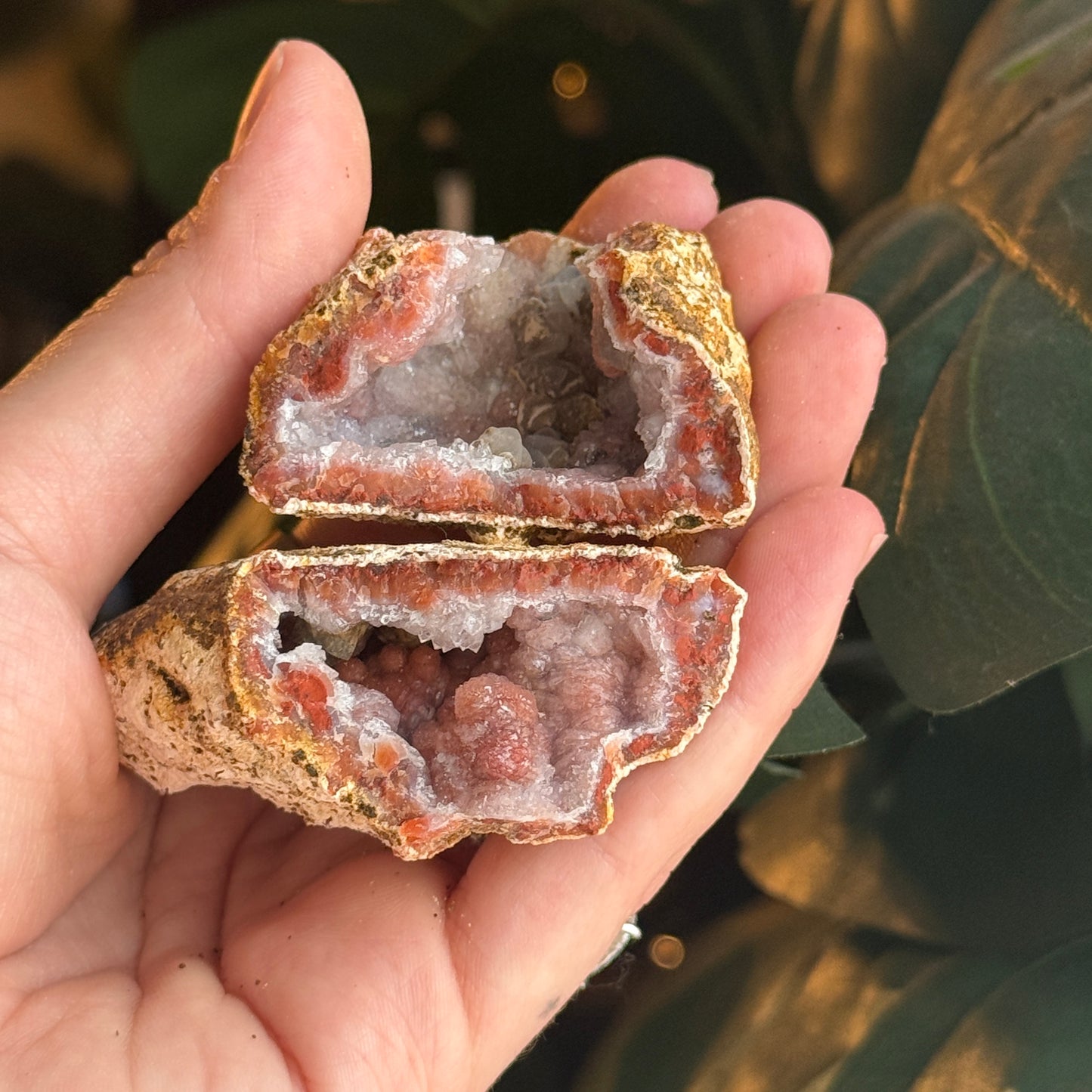Botryoidal Chalcedony Raw Geode *PAIR*