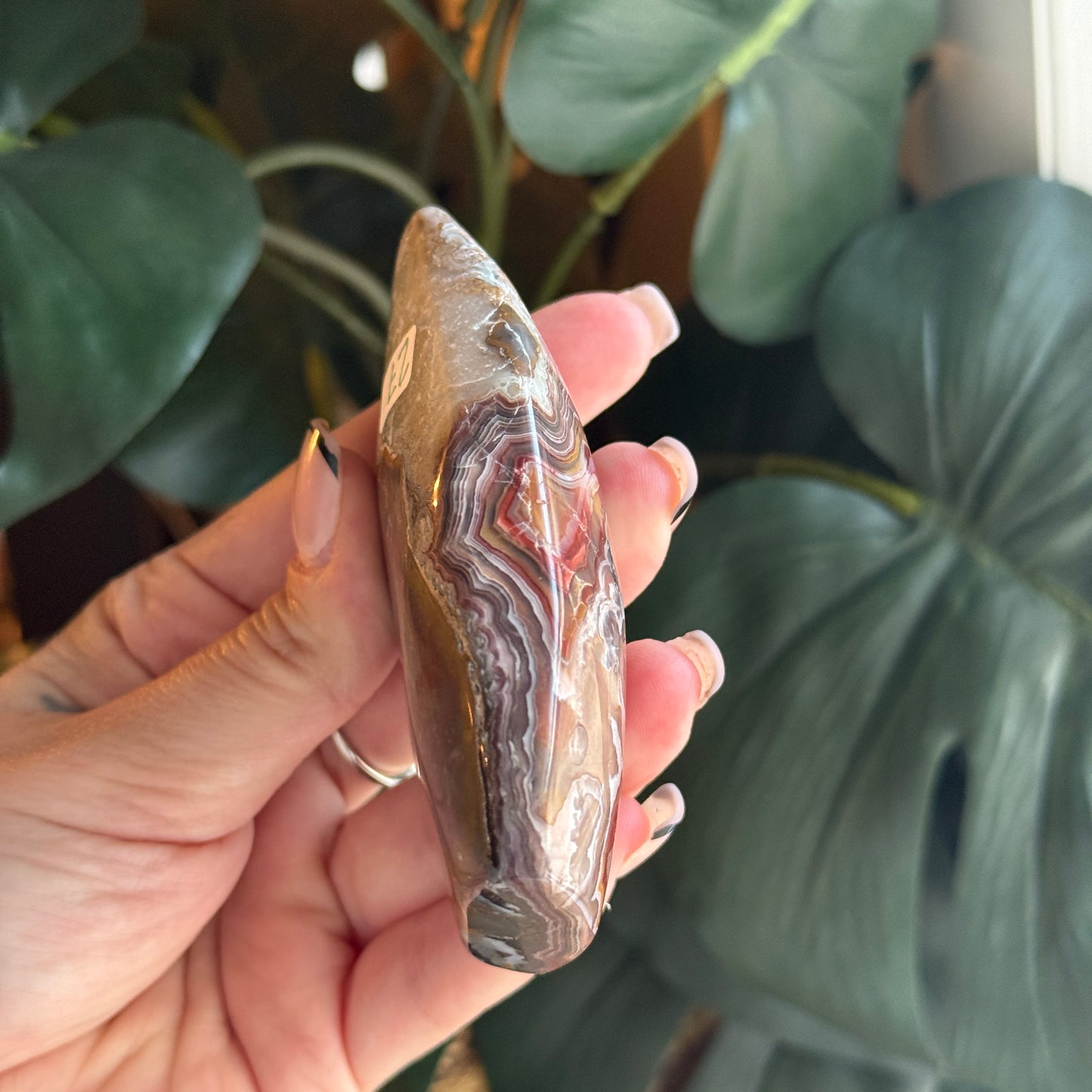 Crazy Lace Agate